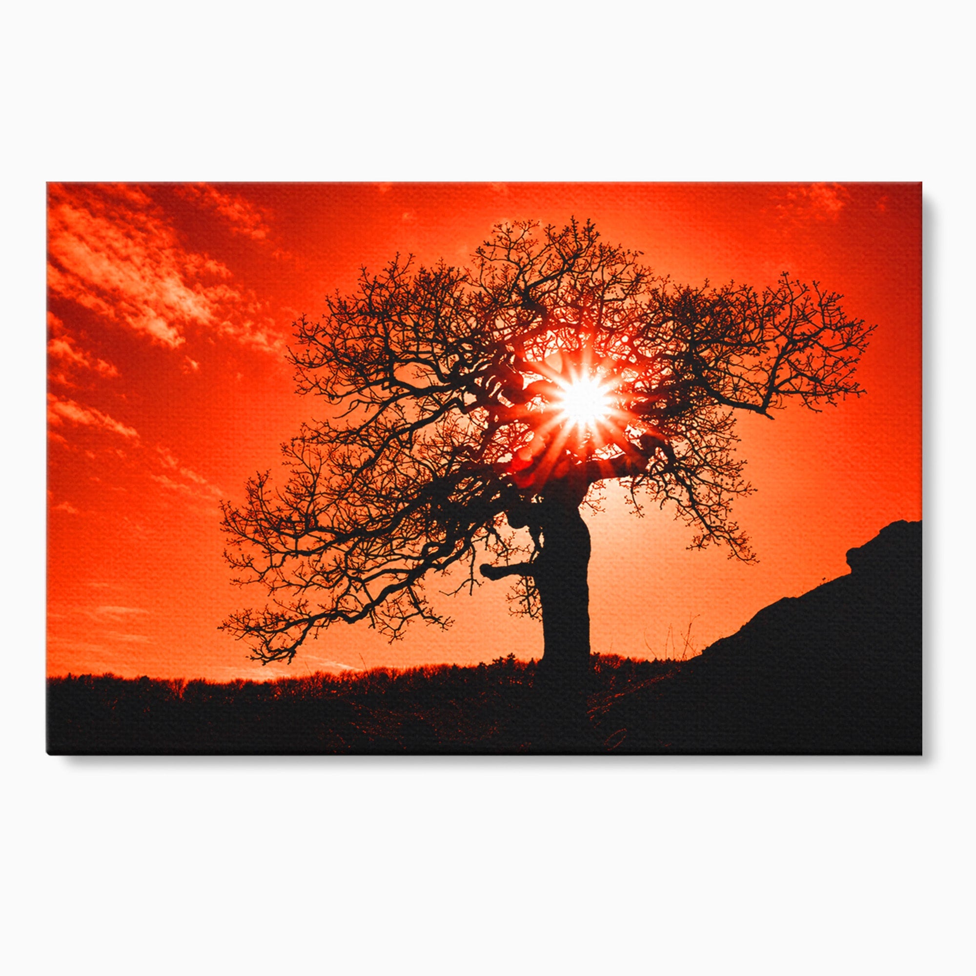Tablou Canvas Premium LuxCanva® A1768, Silueta Arbore La Apus, Arbore, Apus, Silueta, Natura, Living, Culori Vibrante