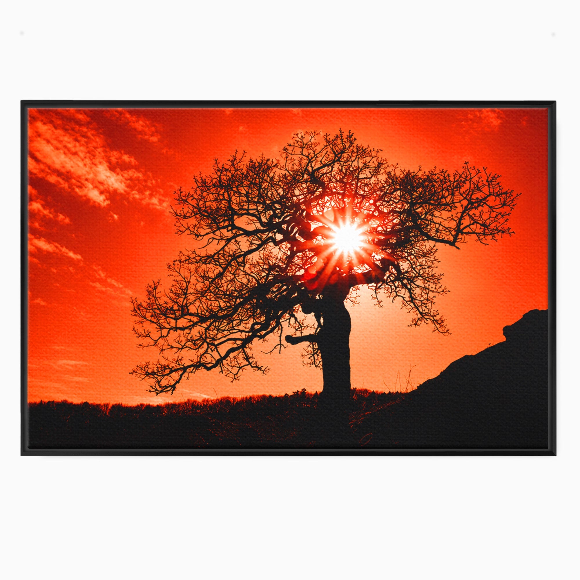 Tablou Canvas Premium LuxCanva® A1768, Silueta Arbore La Apus, Arbore, Apus, Silueta, Natura, Living, Culori Vibrante