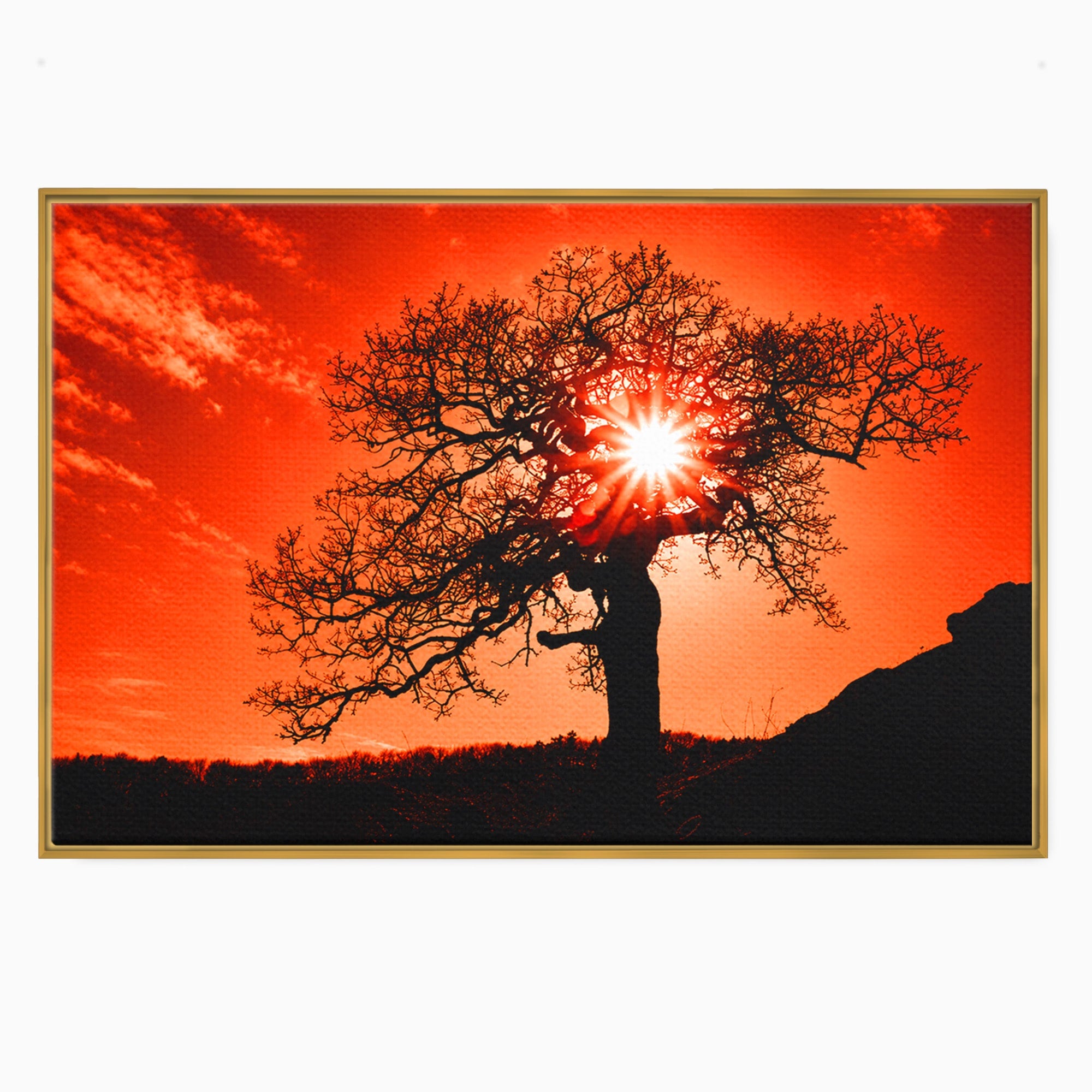 Tablou Canvas Premium LuxCanva® A1768, Silueta Arbore La Apus, Arbore, Apus, Silueta, Natura, Living, Culori Vibrante