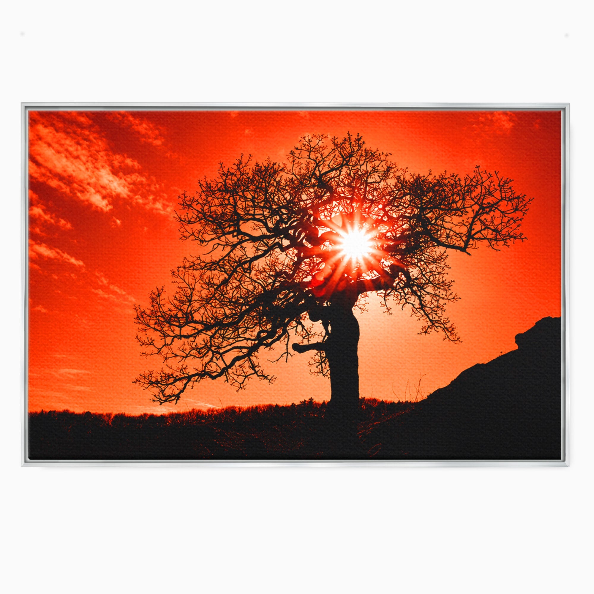 Tablou Canvas Premium LuxCanva® A1768, Silueta Arbore La Apus, Arbore, Apus, Silueta, Natura, Living, Culori Vibrante