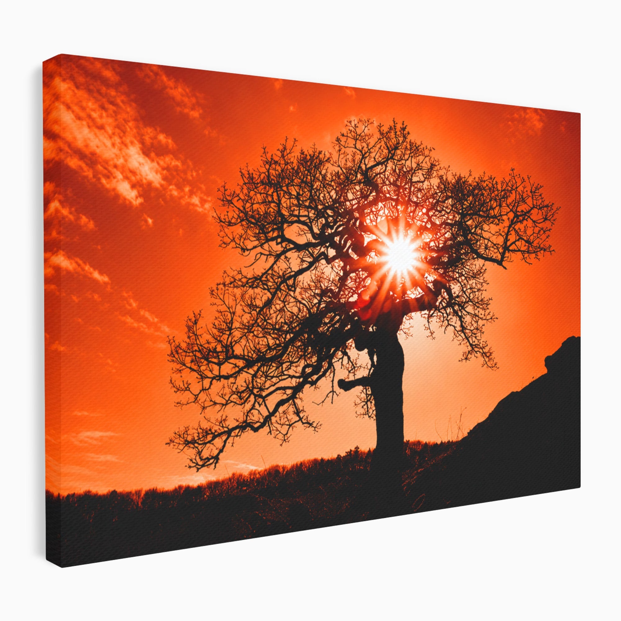 Tablou Canvas Premium LuxCanva® A1768, Silueta Arbore La Apus, Arbore, Apus, Silueta, Natura, Living, Culori Vibrante