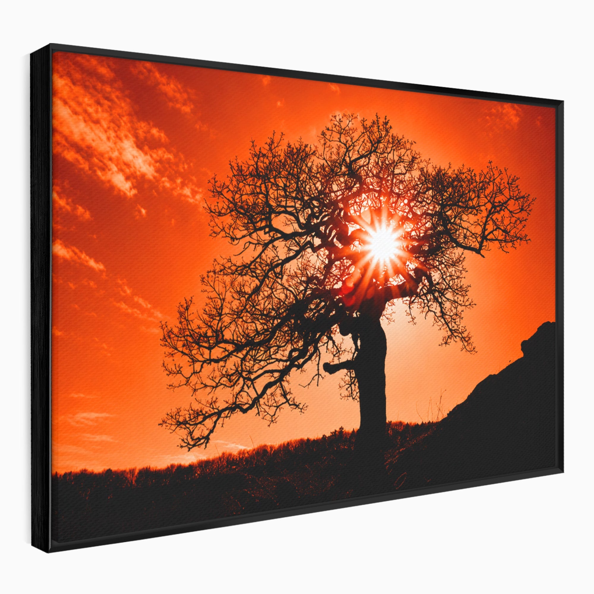 Tablou Canvas Premium LuxCanva® A1768, Silueta Arbore La Apus, Arbore, Apus, Silueta, Natura, Living, Culori Vibrante