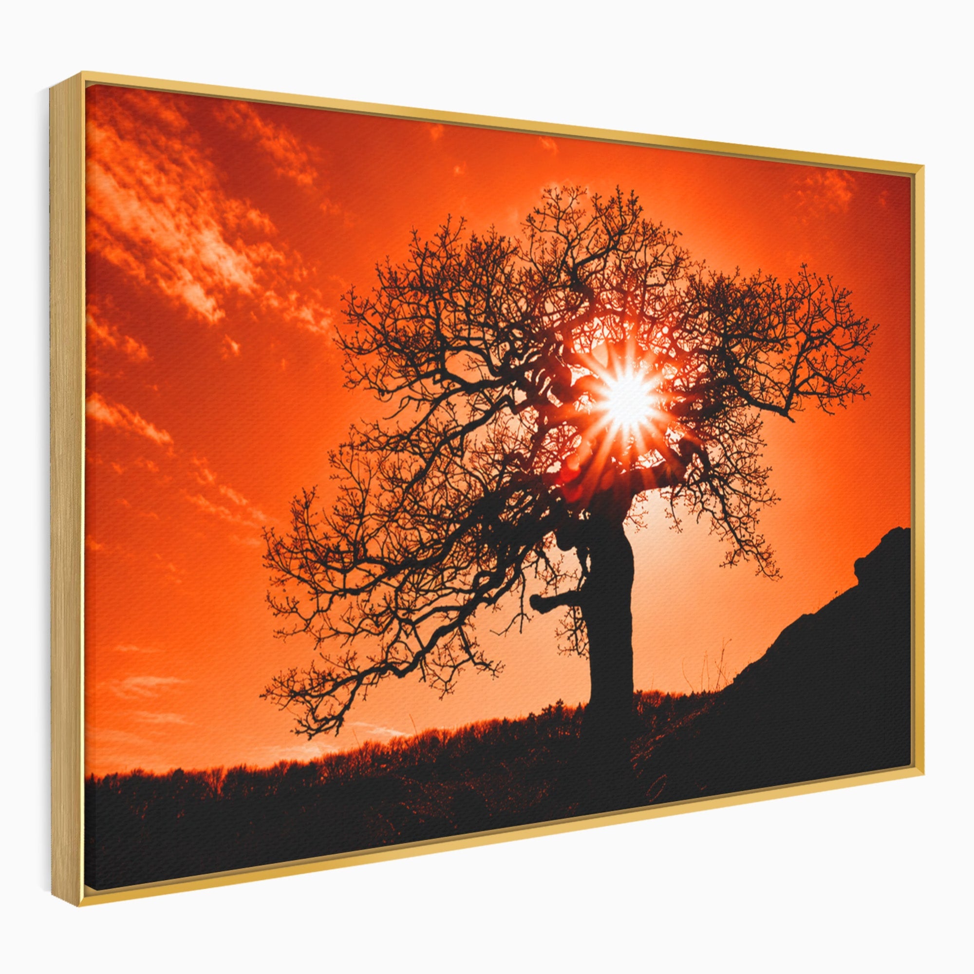 Tablou Canvas Premium LuxCanva® A1768, Silueta Arbore La Apus, Arbore, Apus, Silueta, Natura, Living, Culori Vibrante