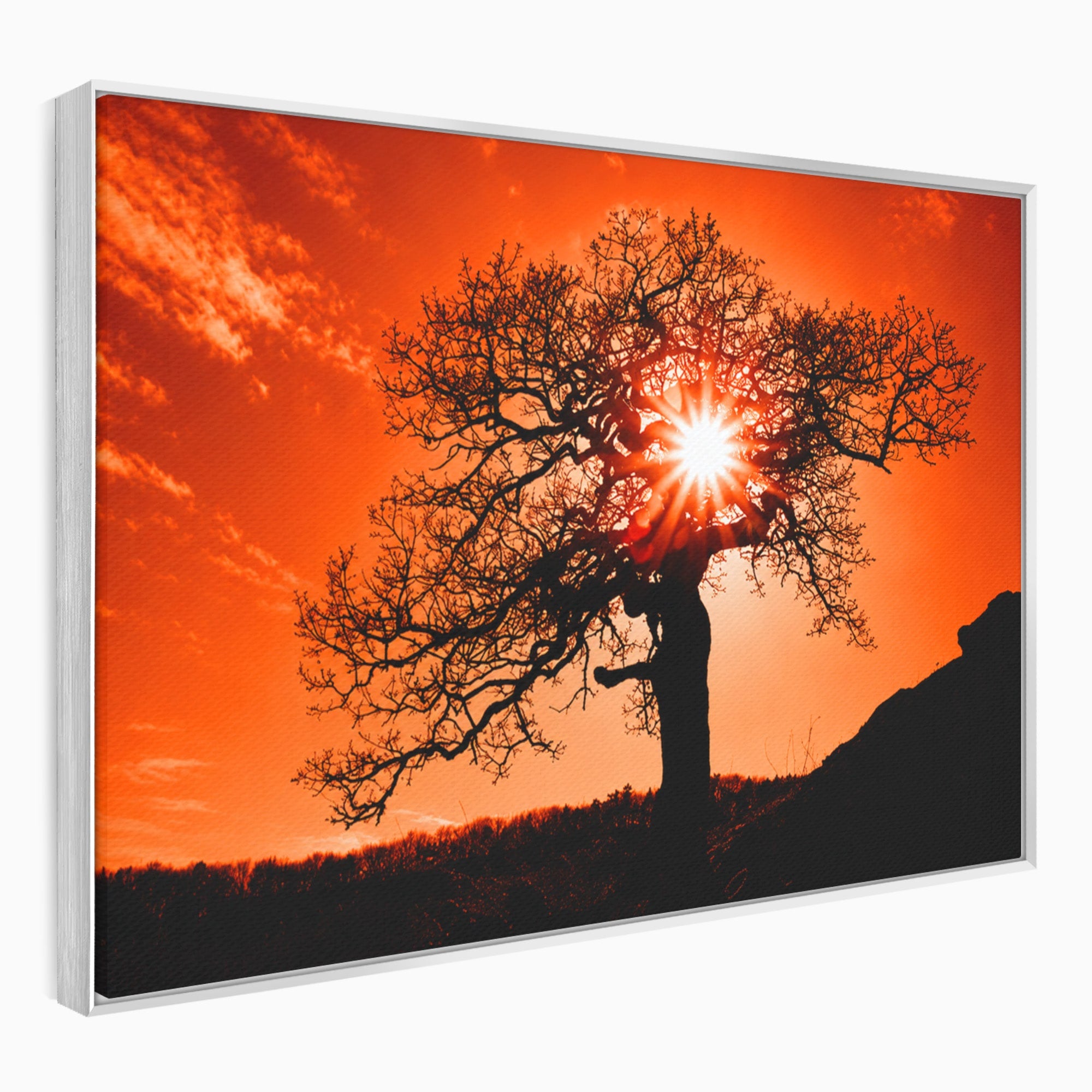 Tablou Canvas Premium LuxCanva® A1768, Silueta Arbore La Apus, Arbore, Apus, Silueta, Natura, Living, Culori Vibrante