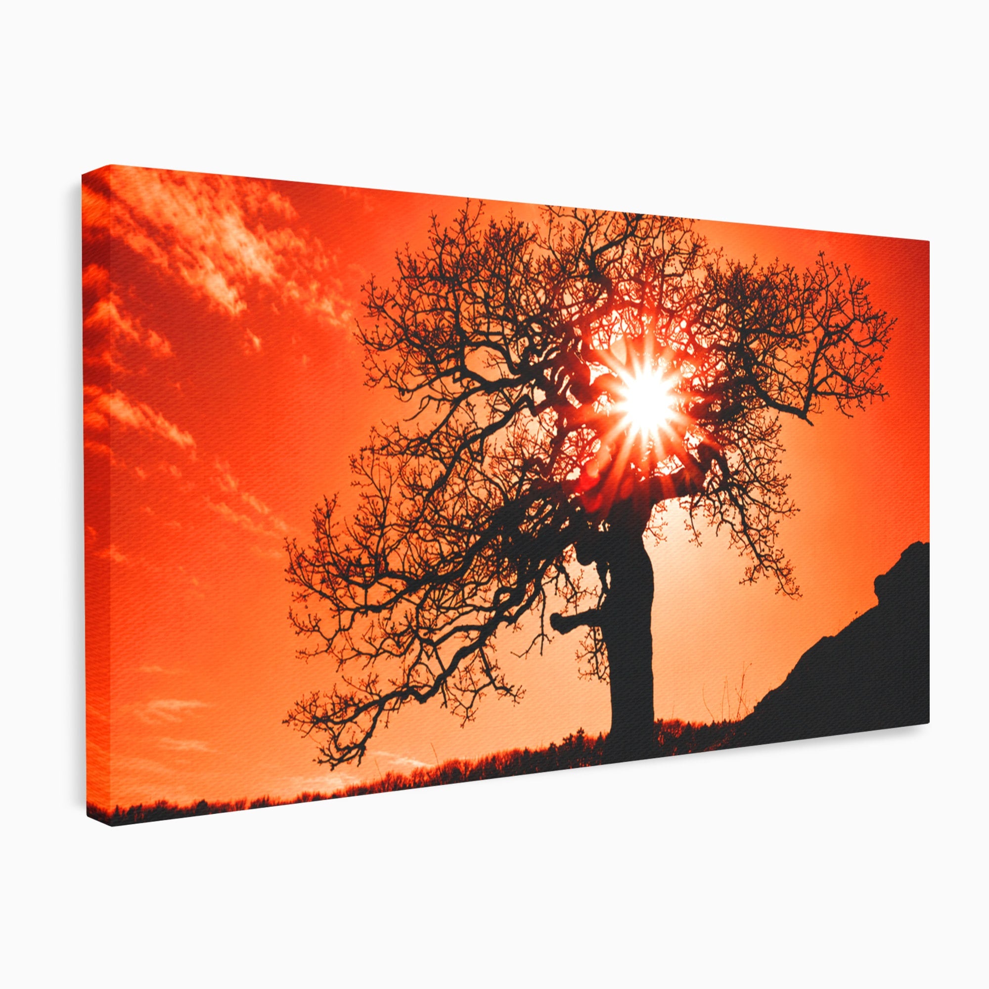 Tablou Canvas Premium LuxCanva® A1768, Silueta Arbore La Apus, Arbore, Apus, Silueta, Natura, Living, Culori Vibrante