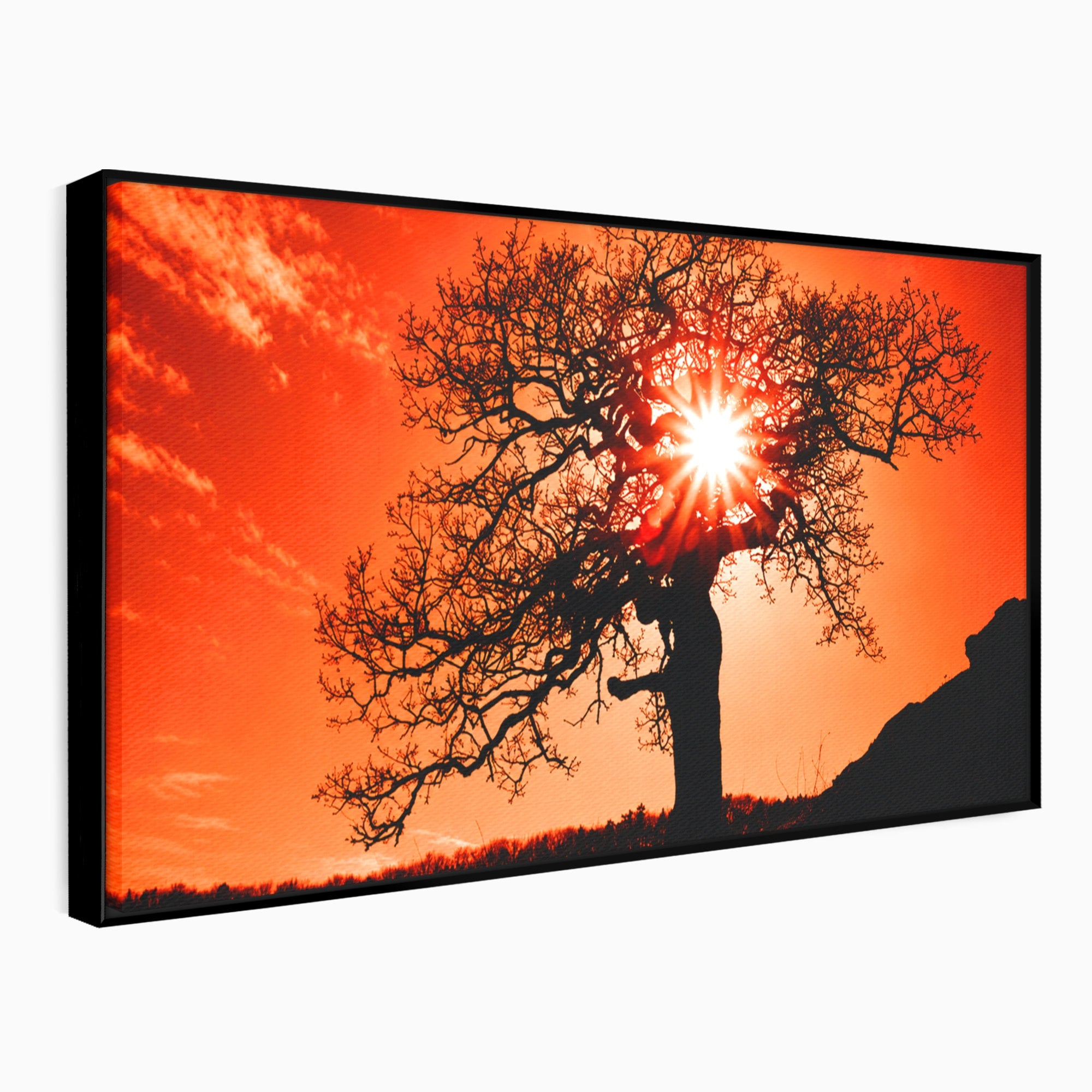 Tablou Canvas Premium LuxCanva® A1768, Silueta Arbore La Apus, Arbore, Apus, Silueta, Natura, Living, Culori Vibrante
