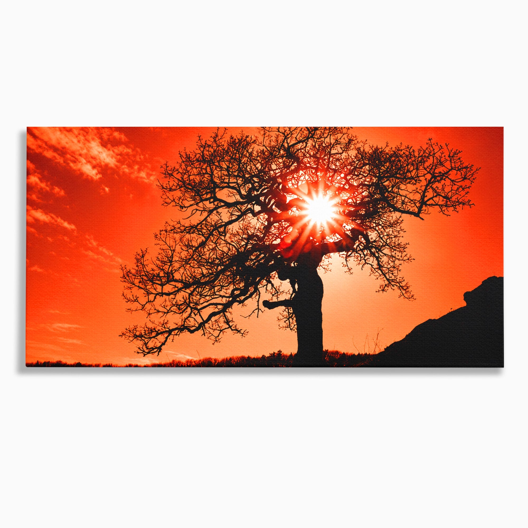 Tablou Canvas Premium LuxCanva® A1768, Silueta Arbore La Apus, Arbore, Apus, Silueta, Natura, Living, Culori Vibrante