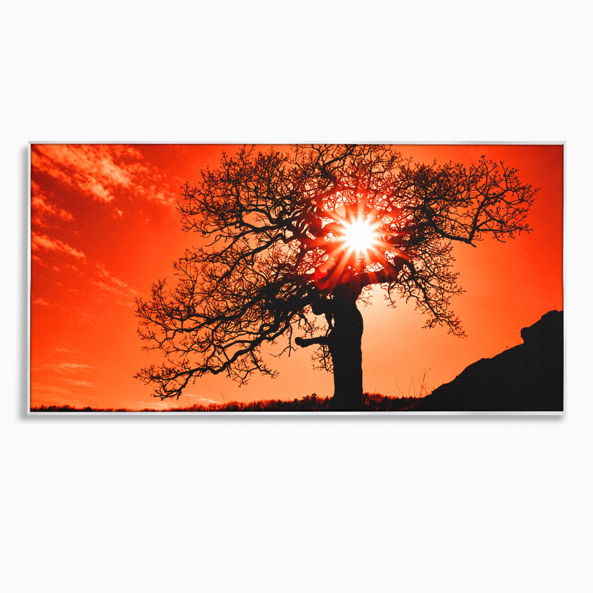 Tablou Canvas Premium LuxCanva® A1768, Silueta Arbore La Apus, Arbore, Apus, Silueta, Natura, Living, Culori Vibrante