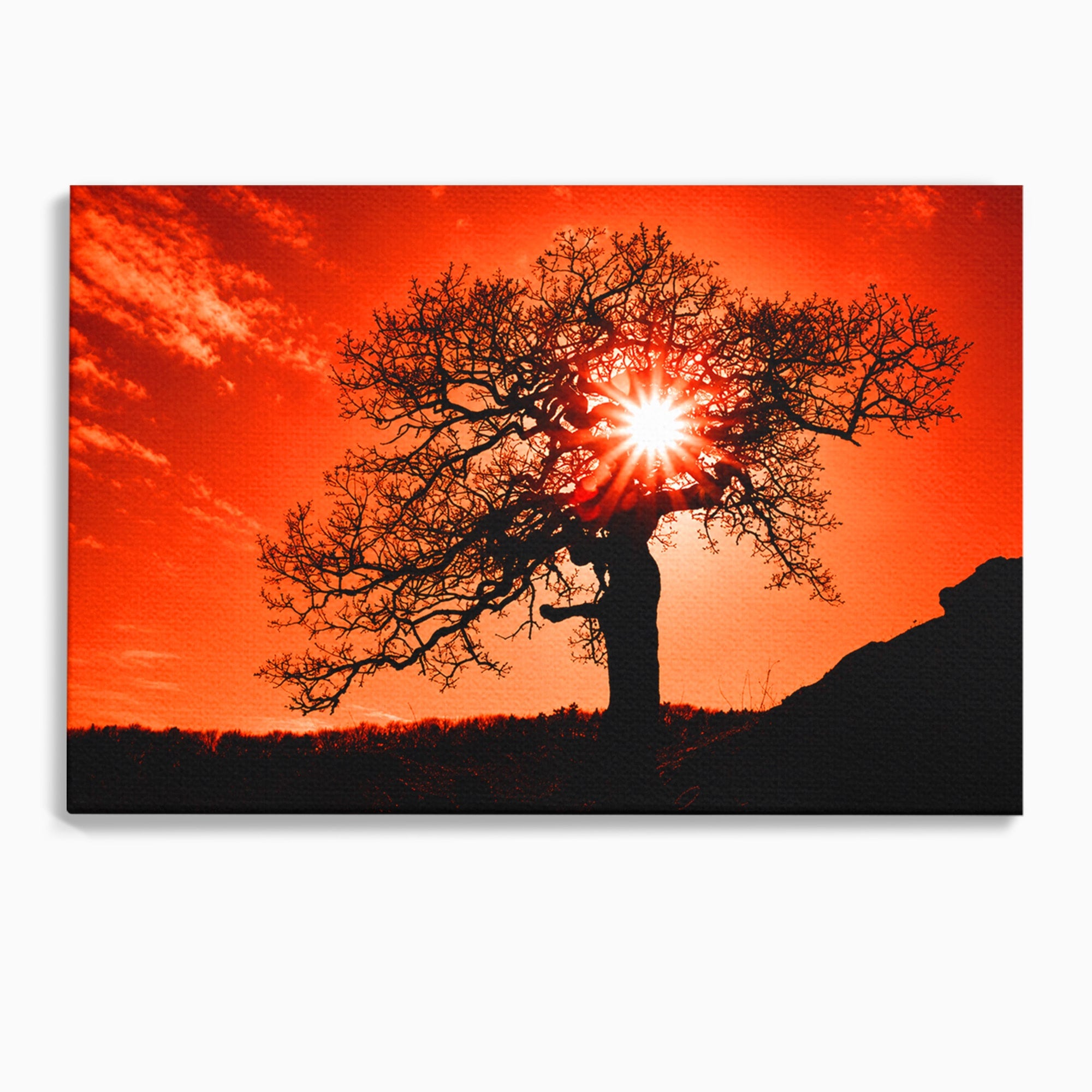 Tablou Canvas Premium LuxCanva® A1768, Silueta Arbore La Apus, Arbore, Apus, Silueta, Natura, Living, Culori Vibrante