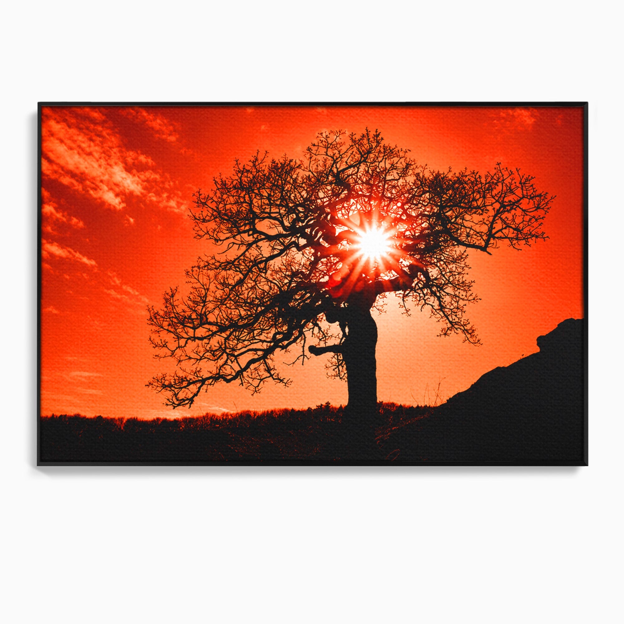 Tablou Canvas Premium LuxCanva® A1768, Silueta Arbore La Apus, Arbore, Apus, Silueta, Natura, Living, Culori Vibrante