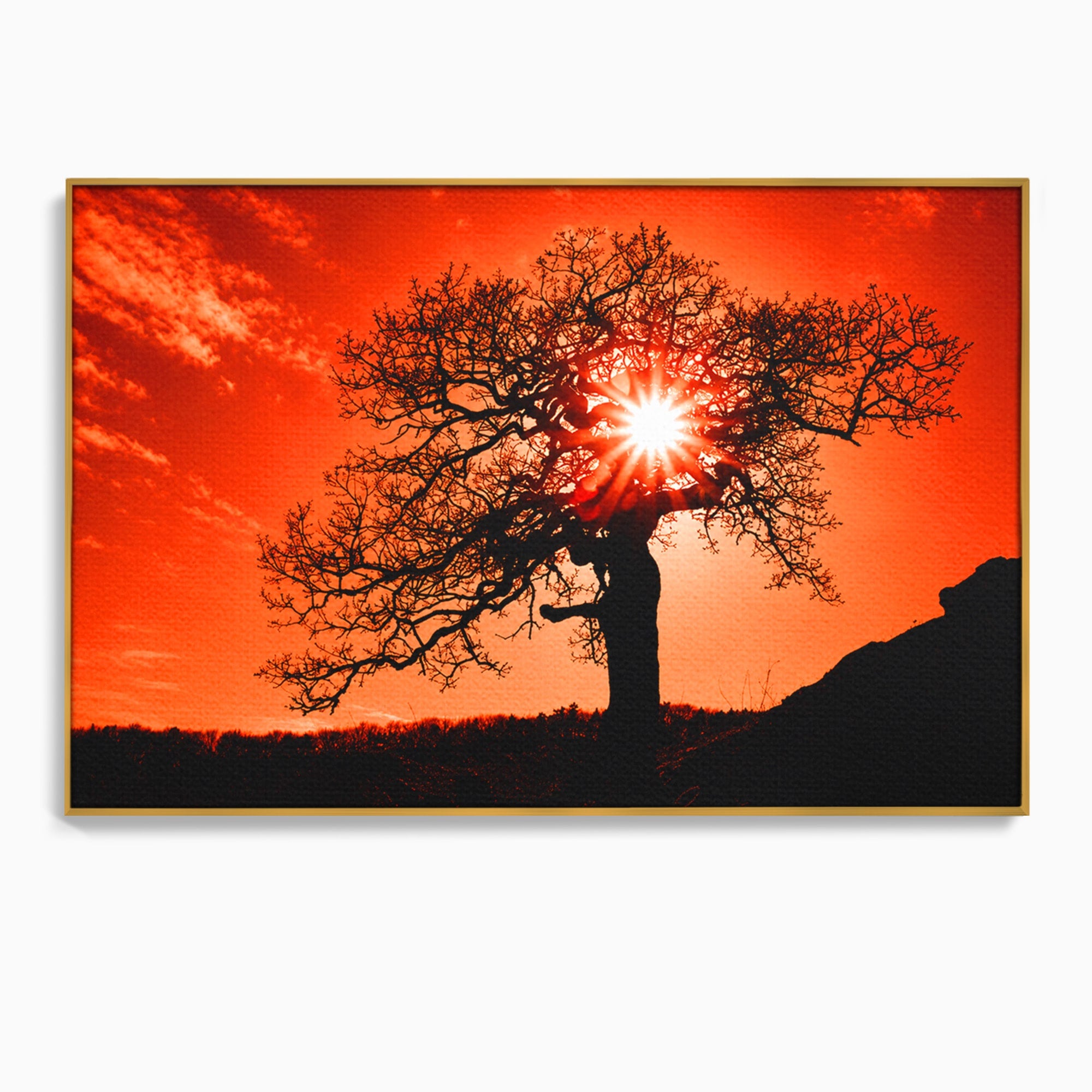 Tablou Canvas Premium LuxCanva® A1768, Silueta Arbore La Apus, Arbore, Apus, Silueta, Natura, Living, Culori Vibrante