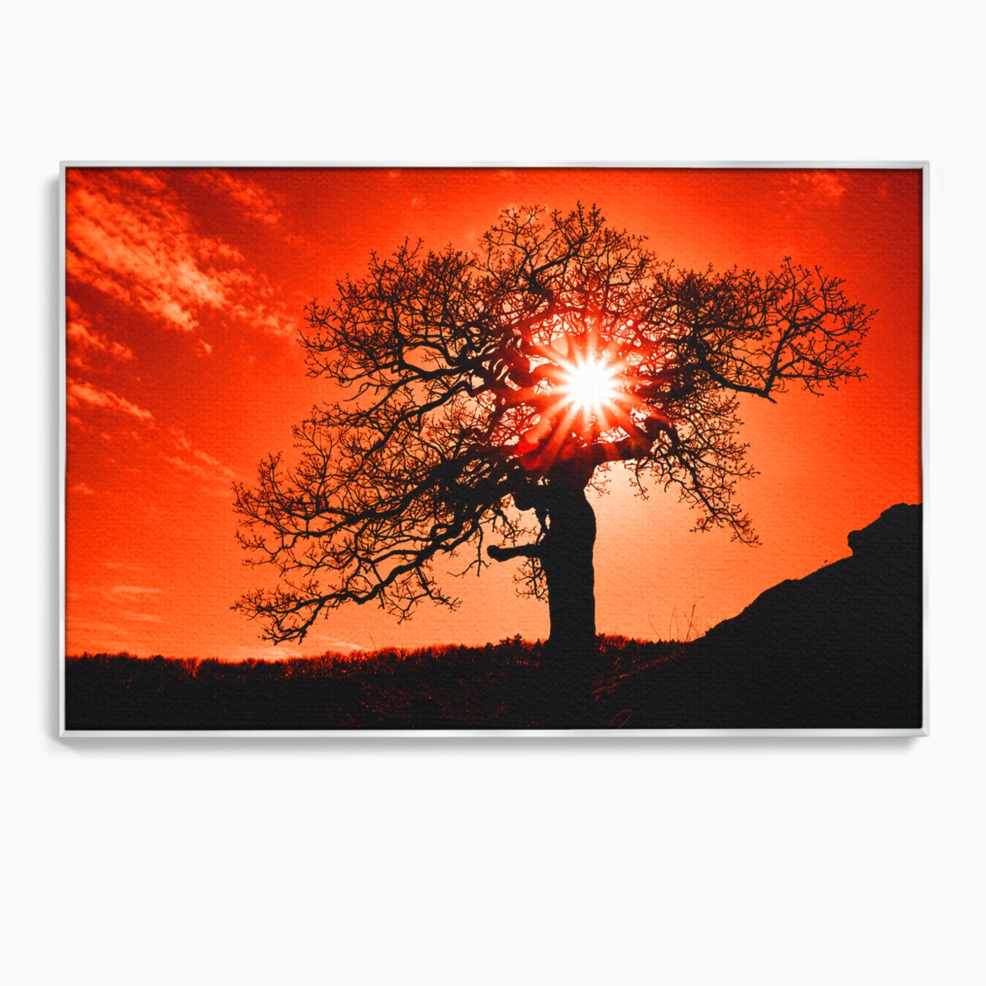 Tablou Canvas Premium LuxCanva® A1768, Silueta Arbore La Apus, Arbore, Apus, Silueta, Natura, Living, Culori Vibrante
