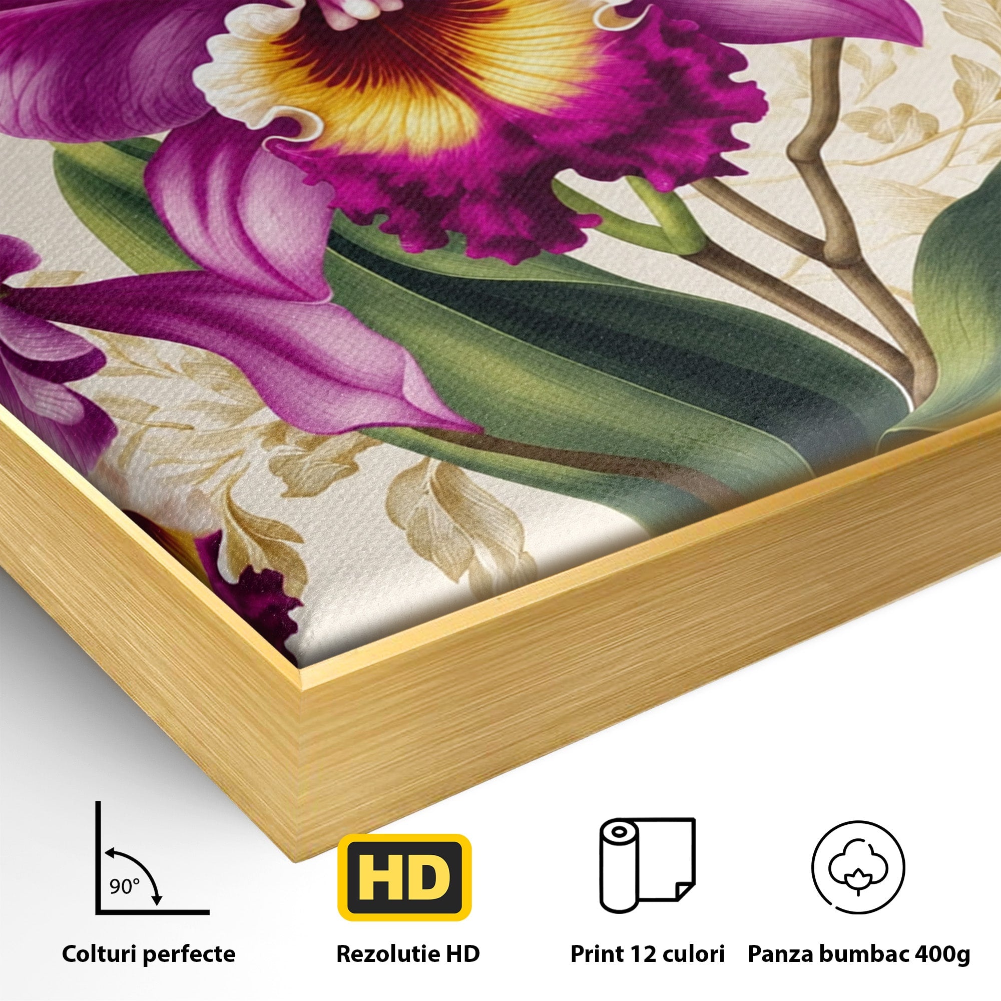 Tablou Canvas Premium LuxCanva® A1772, Orhidee Magnifice, Orhidee, Floral, Natura, Eleganta, Dormitor, Culori Vibrante