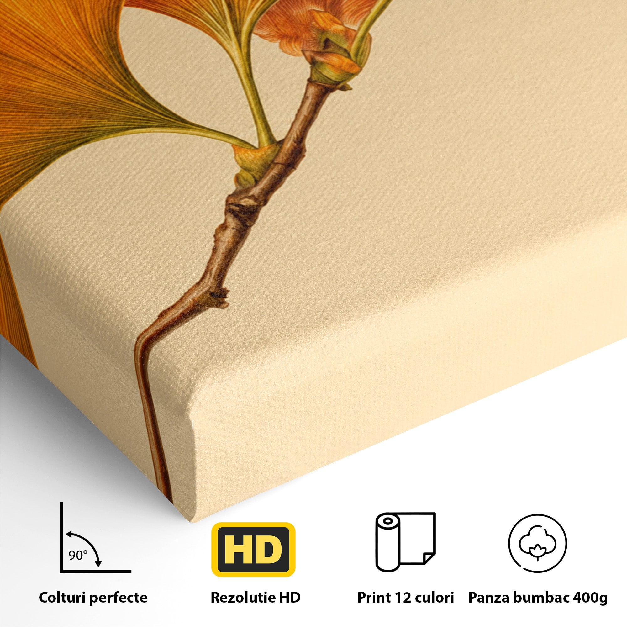 Tablou Canvas Premium LuxCanva® A1773, Frunze Gingko Portocalii, Frunze, Gingko, Natura, Minimalist, Dormitor, Culori Vibrante