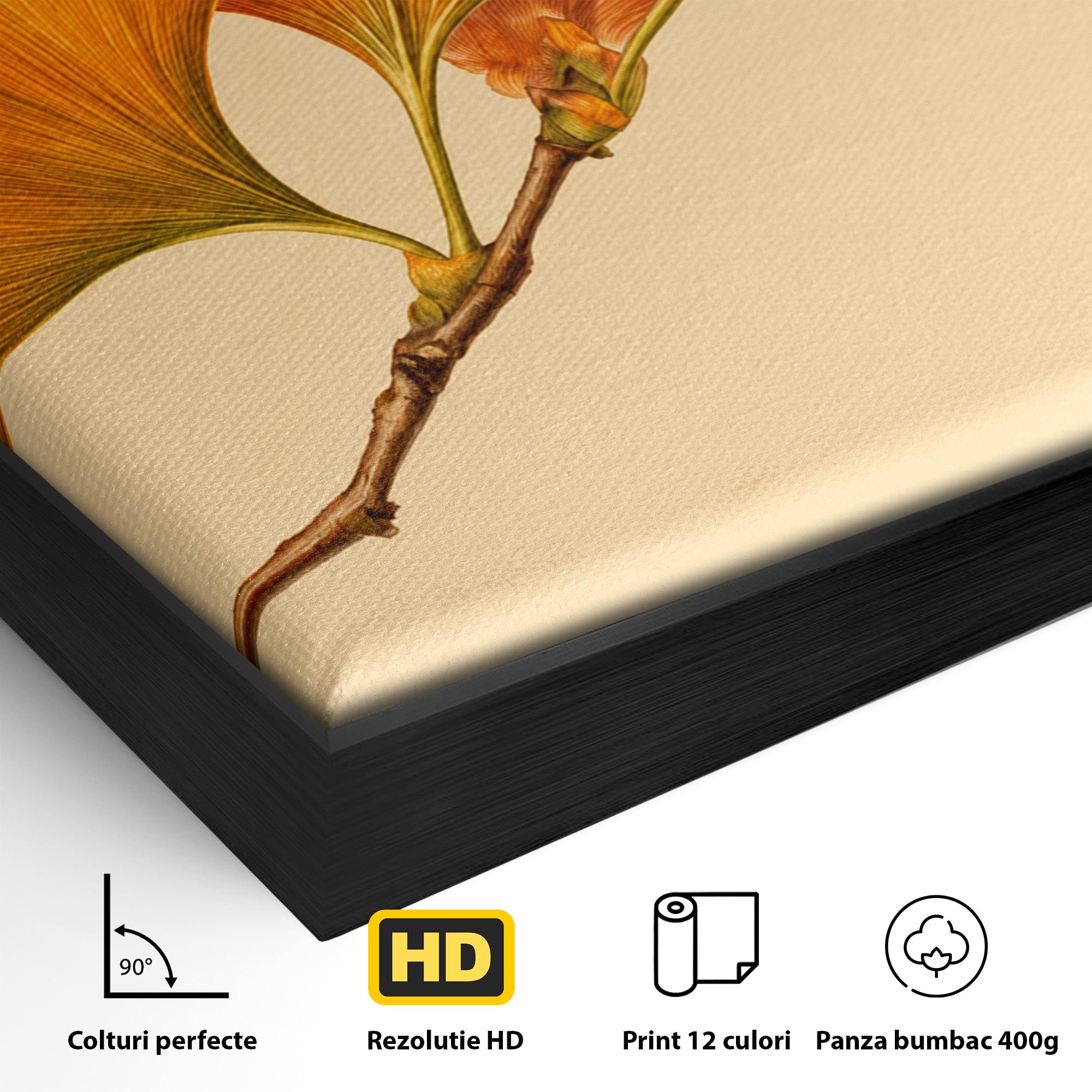 Tablou Canvas Premium LuxCanva® A1773, Frunze Gingko Portocalii, Frunze, Gingko, Natura, Minimalist, Dormitor, Culori Vibrante