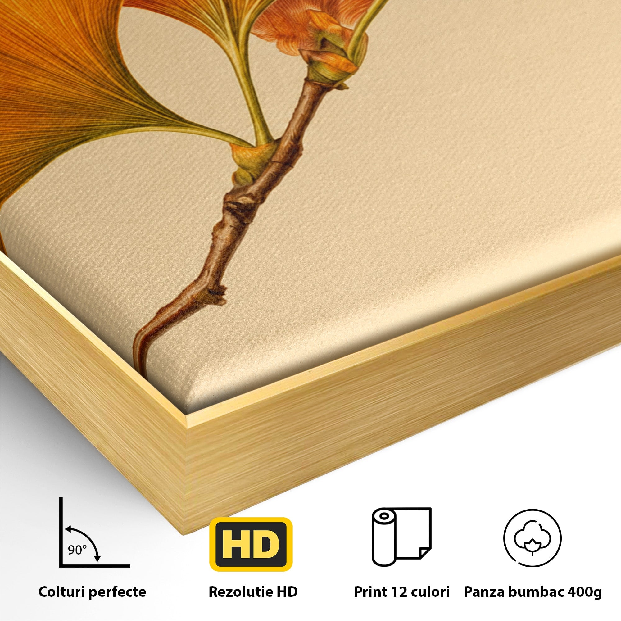 Tablou Canvas Premium LuxCanva® A1773, Frunze Gingko Portocalii, Frunze, Gingko, Natura, Minimalist, Dormitor, Culori Vibrante