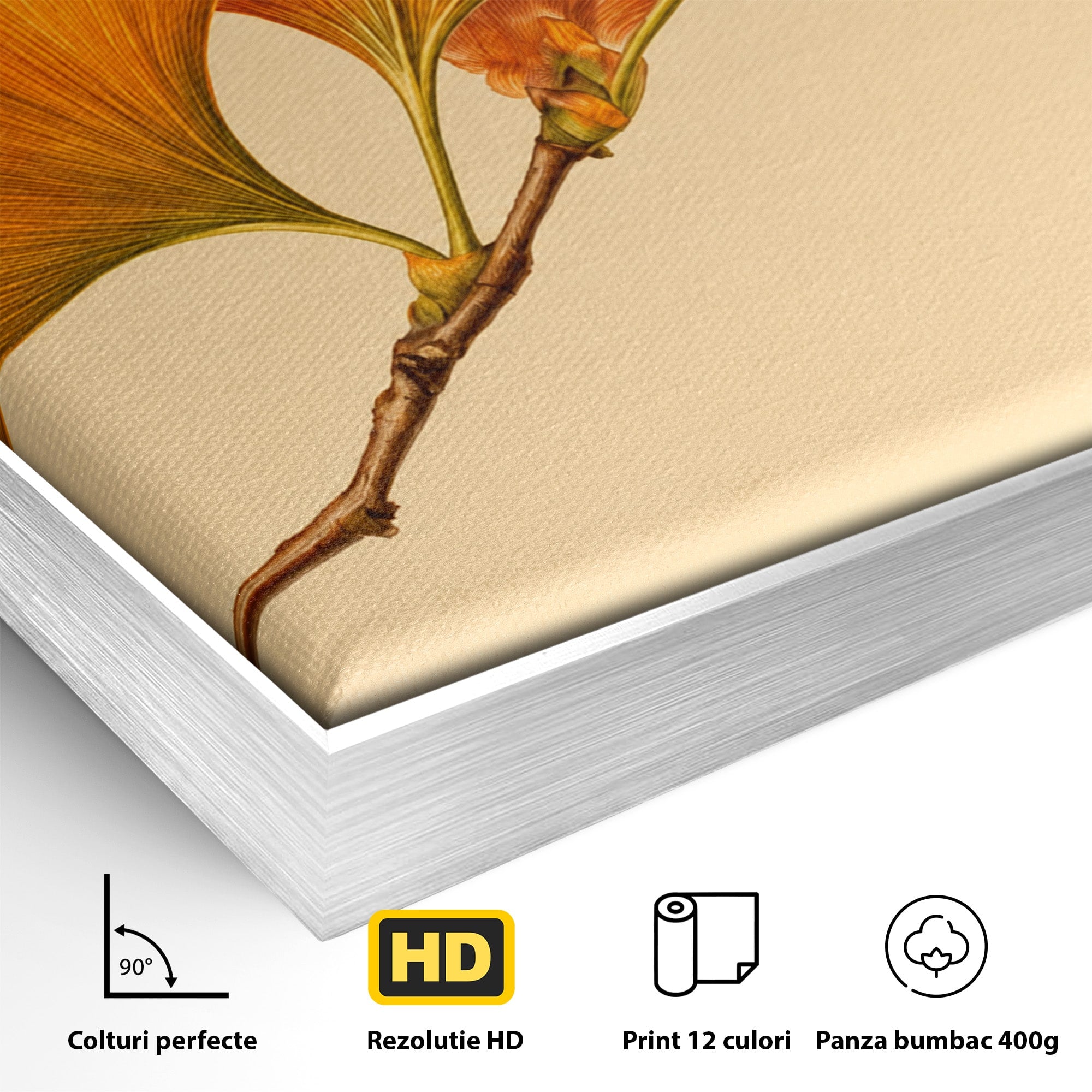 Tablou Canvas Premium LuxCanva® A1773, Frunze Gingko Portocalii, Frunze, Gingko, Natura, Minimalist, Dormitor, Culori Vibrante