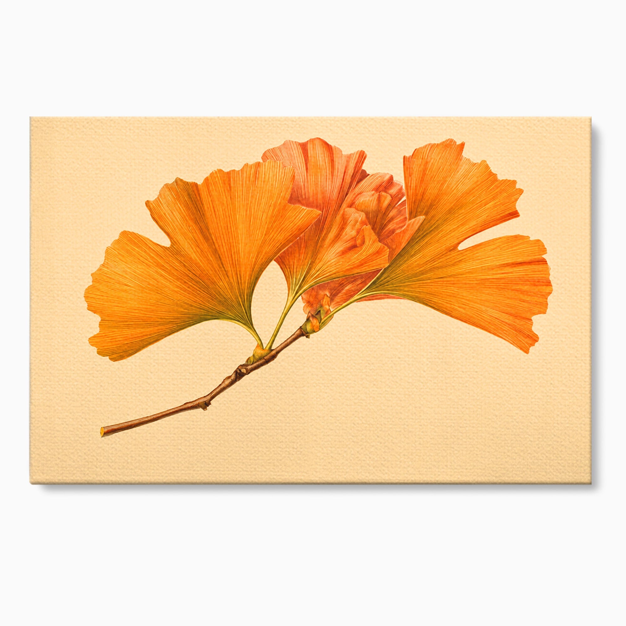 Tablou Canvas Premium LuxCanva® A1773, Frunze Gingko Portocalii, Frunze, Gingko, Natura, Minimalist, Dormitor, Culori Vibrante