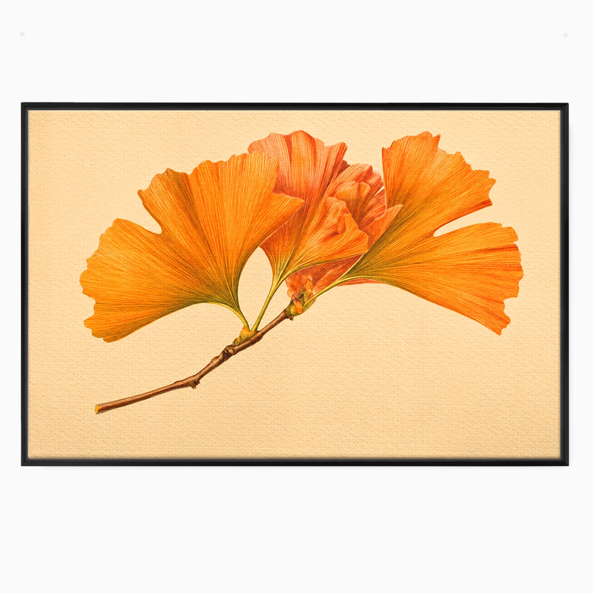 Tablou Canvas Premium LuxCanva® A1773, Frunze Gingko Portocalii, Frunze, Gingko, Natura, Minimalist, Dormitor, Culori Vibrante