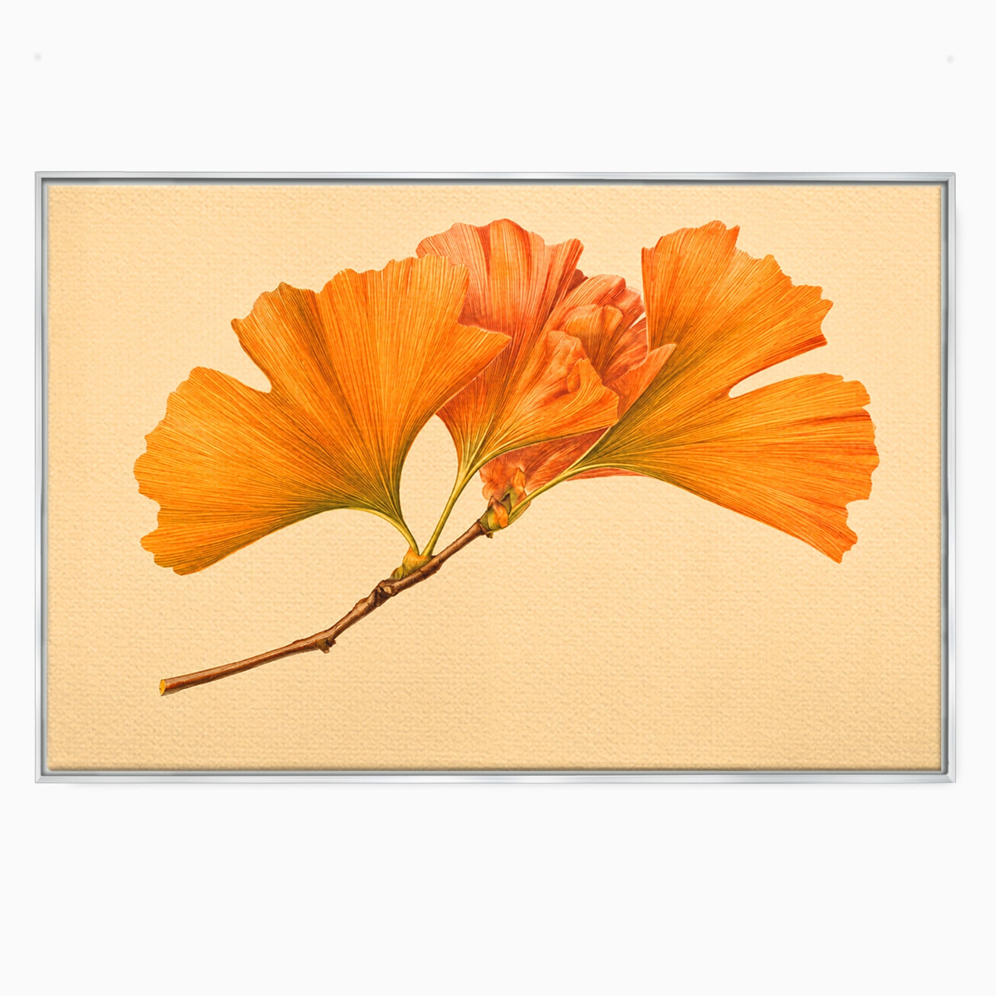 Tablou Canvas Premium LuxCanva® A1773, Frunze Gingko Portocalii, Frunze, Gingko, Natura, Minimalist, Dormitor, Culori Vibrante