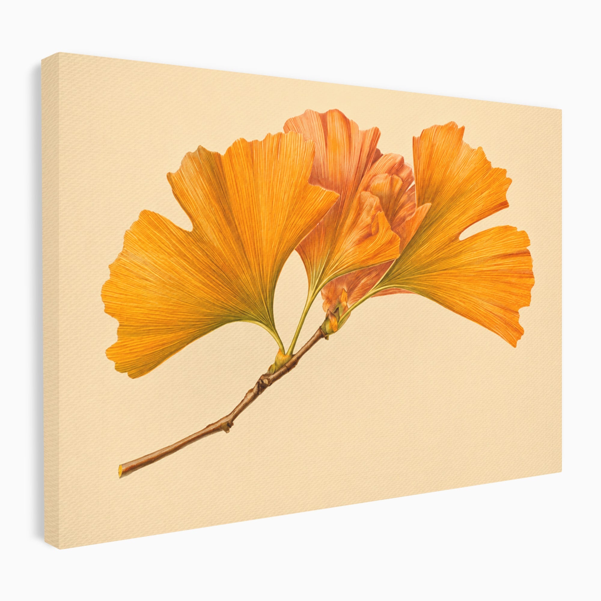Tablou Canvas Premium LuxCanva® A1773, Frunze Gingko Portocalii, Frunze, Gingko, Natura, Minimalist, Dormitor, Culori Vibrante