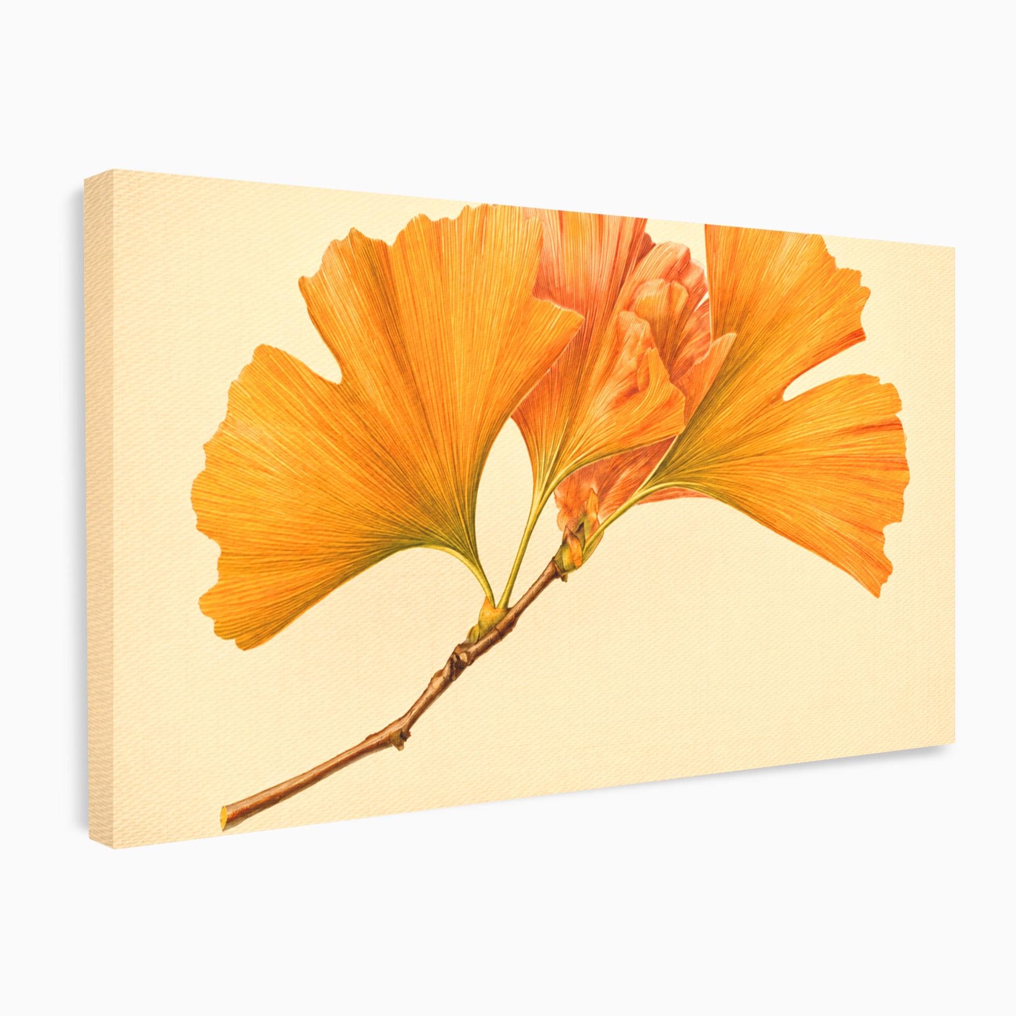 Tablou Canvas Premium LuxCanva® A1773, Frunze Gingko Portocalii, Frunze, Gingko, Natura, Minimalist, Dormitor, Culori Vibrante