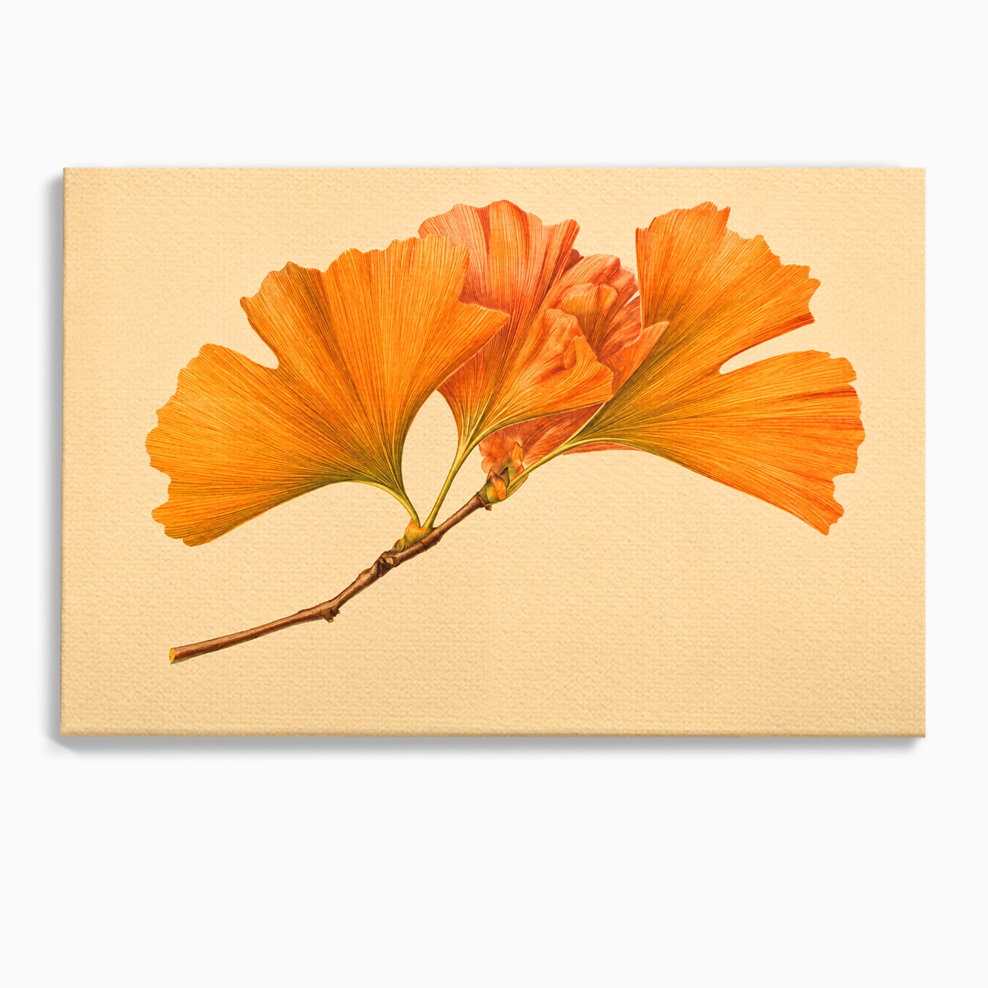 Tablou Canvas Premium LuxCanva® A1773, Frunze Gingko Portocalii, Frunze, Gingko, Natura, Minimalist, Dormitor, Culori Vibrante