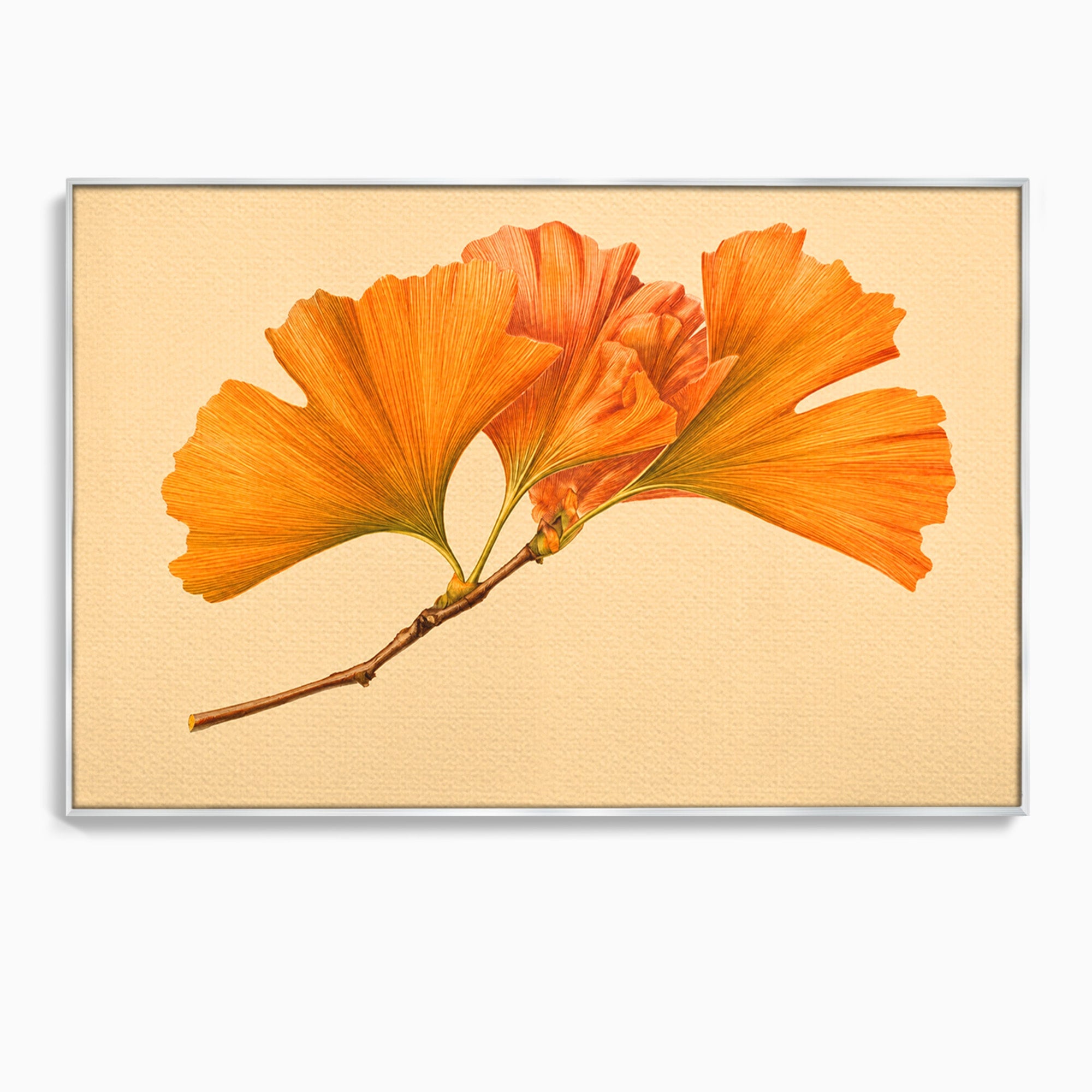 Tablou Canvas Premium LuxCanva® A1773, Frunze Gingko Portocalii, Frunze, Gingko, Natura, Minimalist, Dormitor, Culori Vibrante