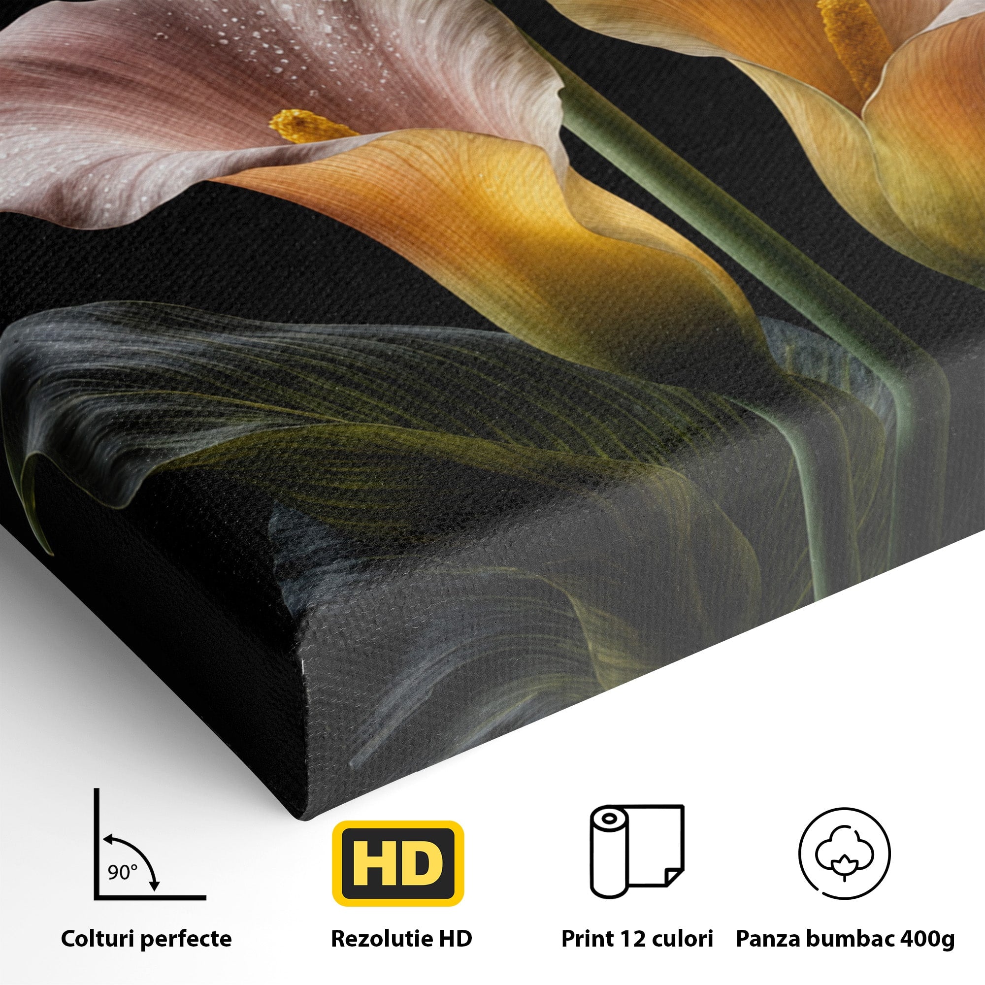 Tablou Canvas Premium LuxCanva® A1776, Crini Eleganti, Crini, Flori, Eleganta, Living, Dormitor, Culori Vibrante
