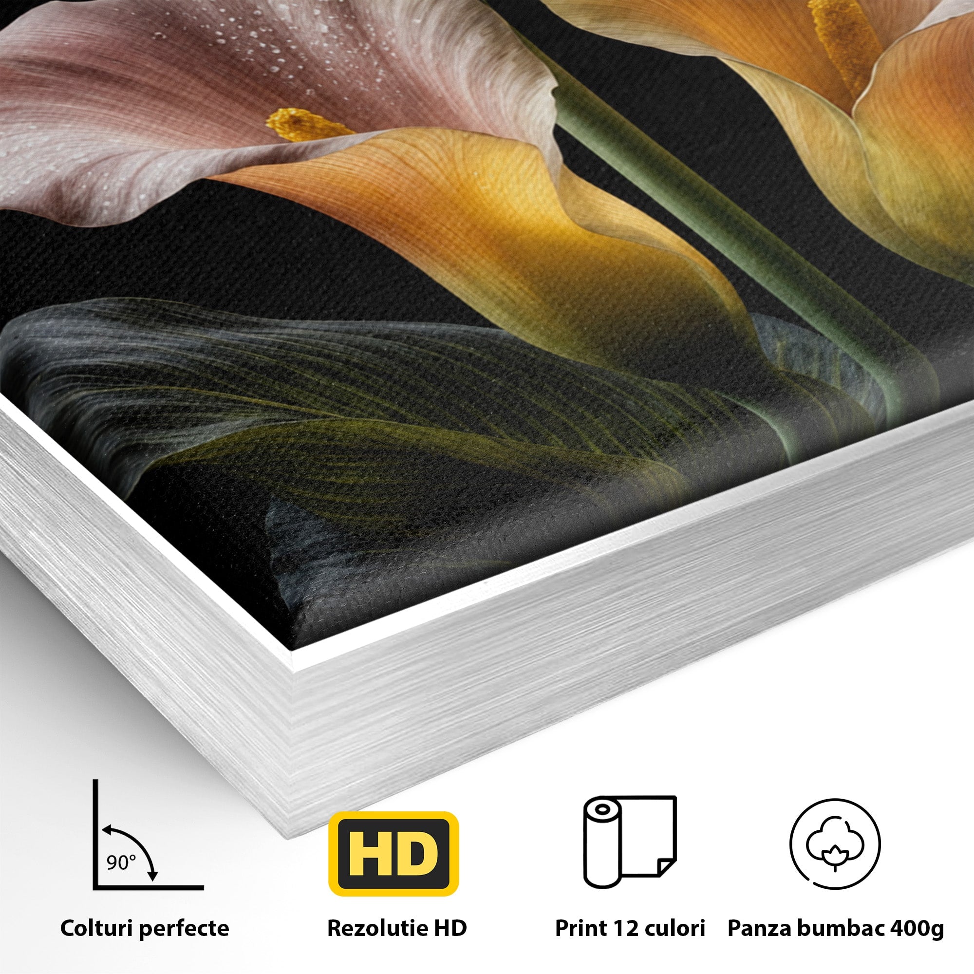Tablou Canvas Premium LuxCanva® A1776, Crini Eleganti, Crini, Flori, Eleganta, Living, Dormitor, Culori Vibrante
