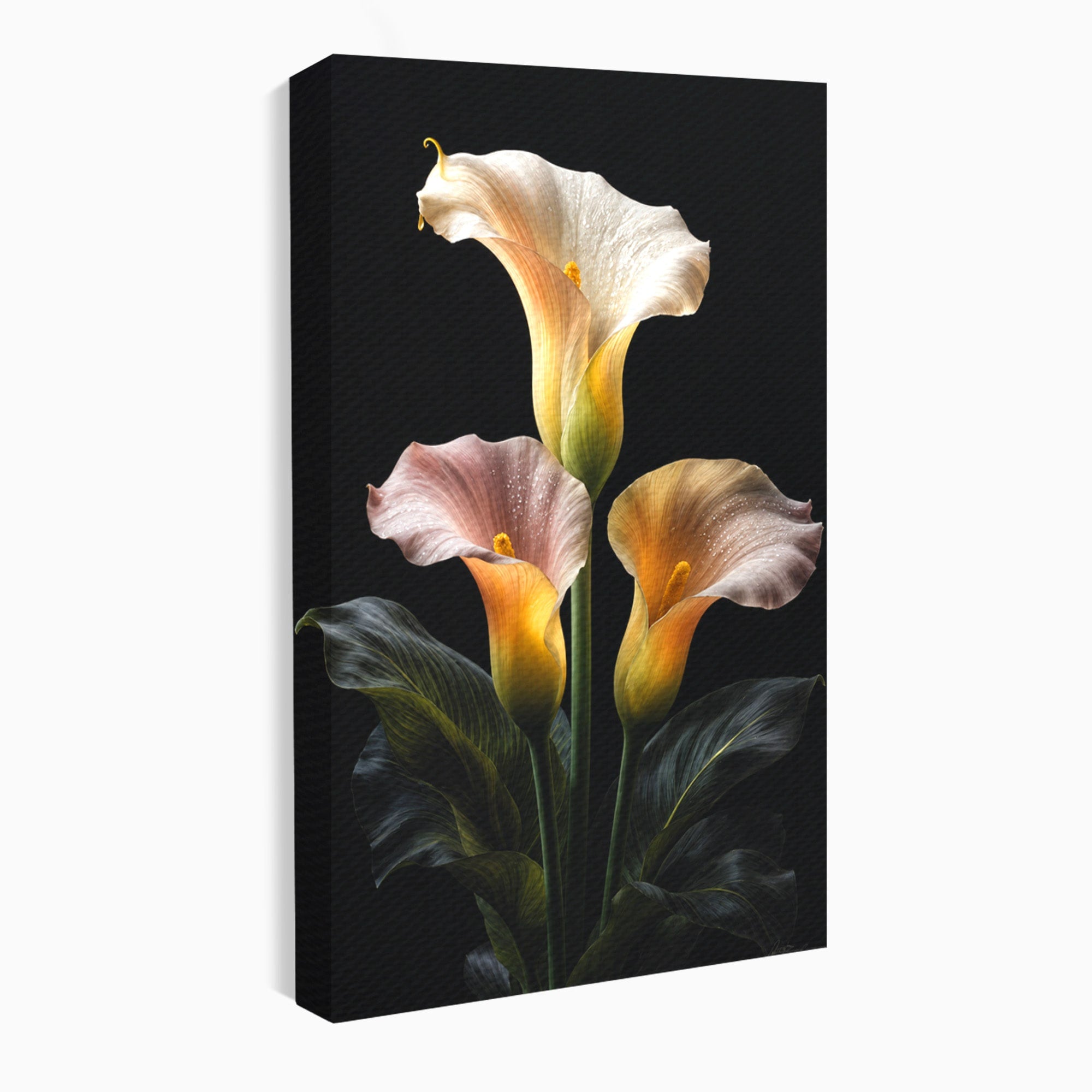 Tablou Canvas Premium LuxCanva® A1776, Crini Eleganti, Crini, Flori, Eleganta, Living, Dormitor, Culori Vibrante