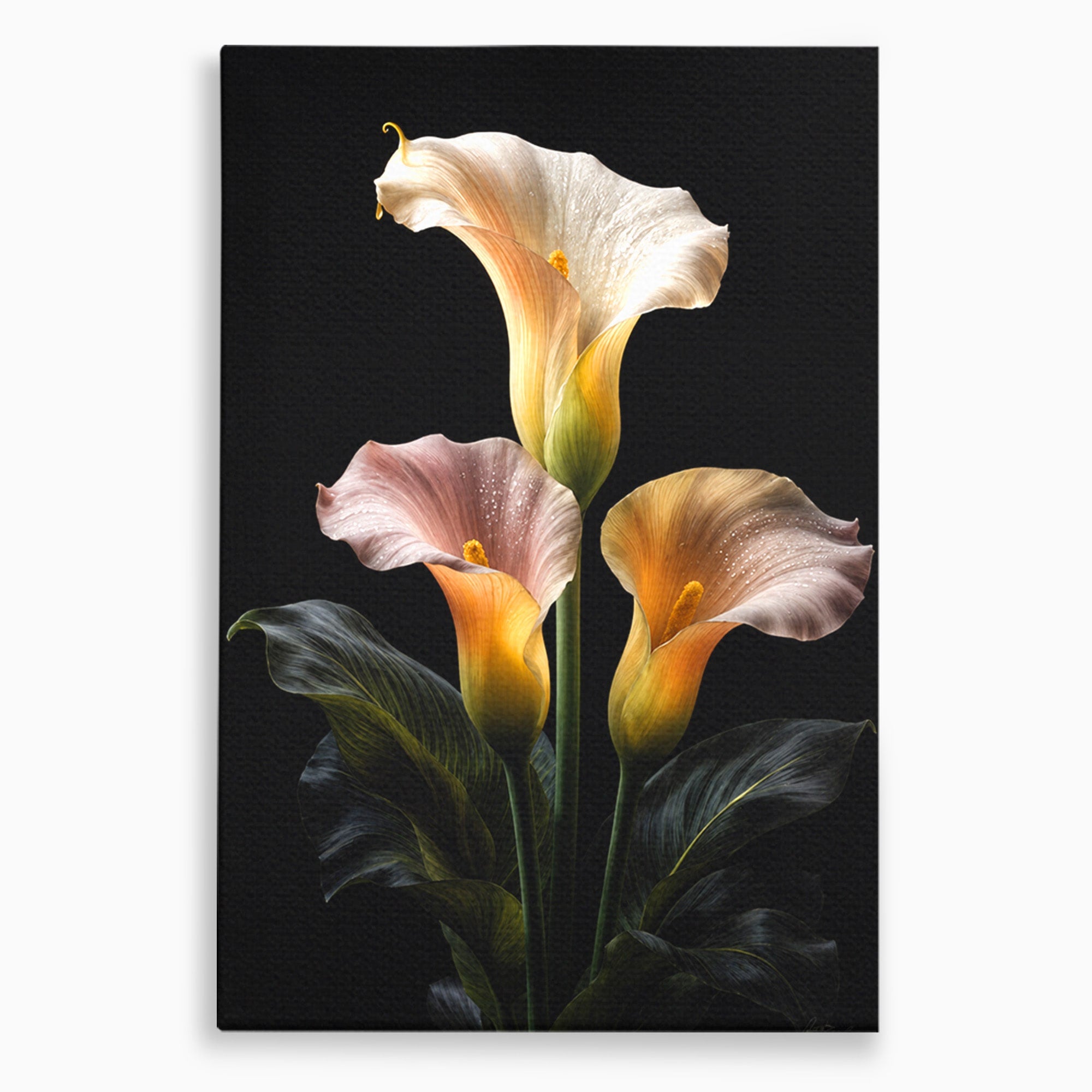 Tablou Canvas Premium LuxCanva® A1776, Crini Eleganti, Crini, Flori, Eleganta, Living, Dormitor, Culori Vibrante