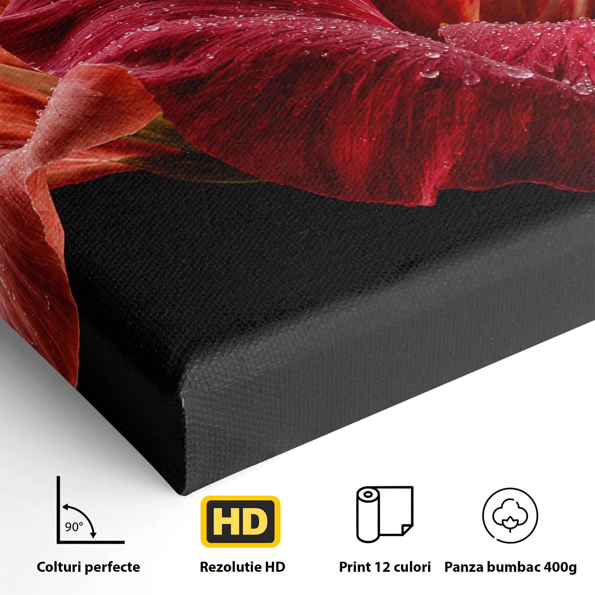Tablou Canvas Premium LuxCanva® A1777, Floare De Hibiscus, Floare, Hibiscus, Eleganta, Dormitor, Living, Culori Vibrante