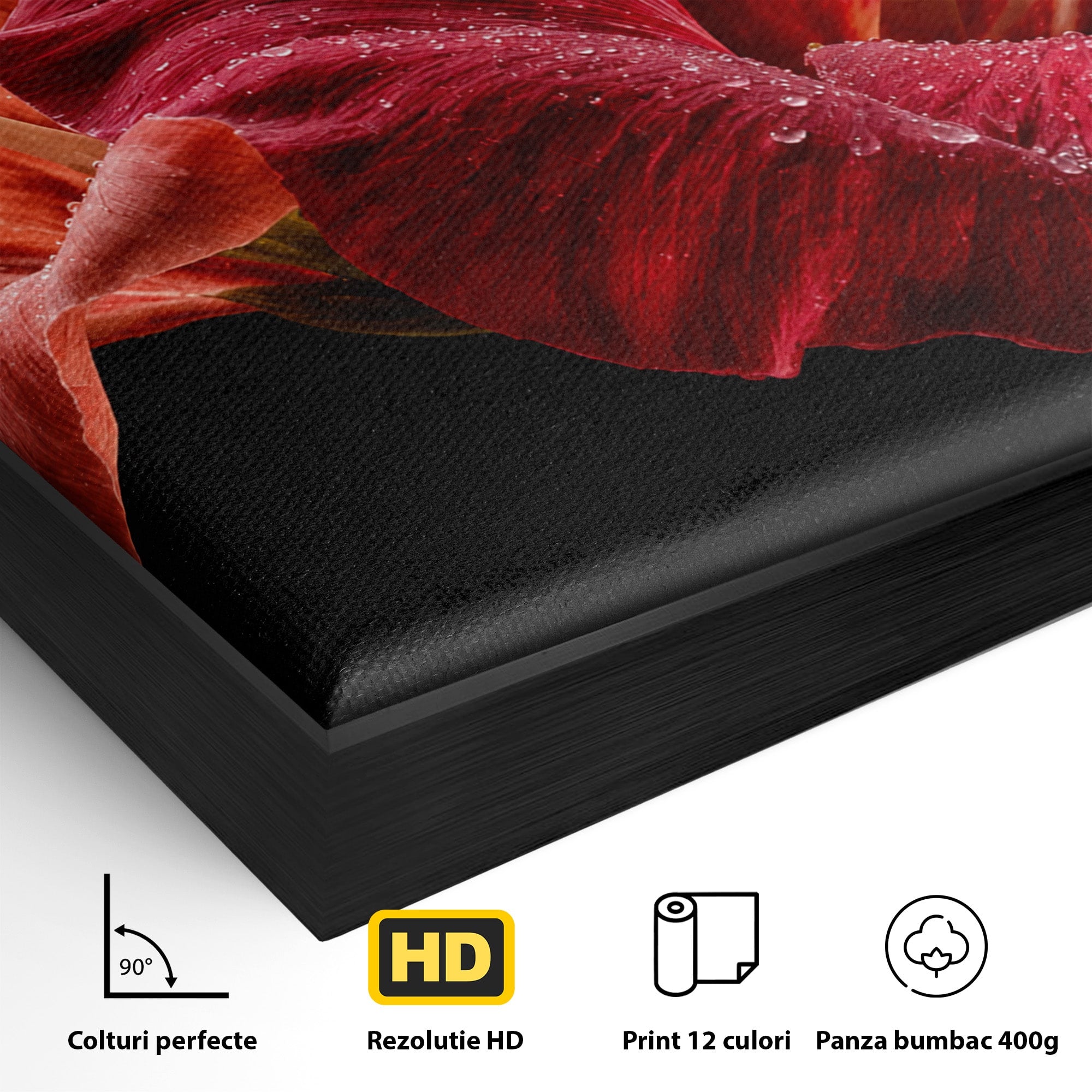Tablou Canvas Premium LuxCanva® A1777, Floare De Hibiscus, Floare, Hibiscus, Eleganta, Dormitor, Living, Culori Vibrante