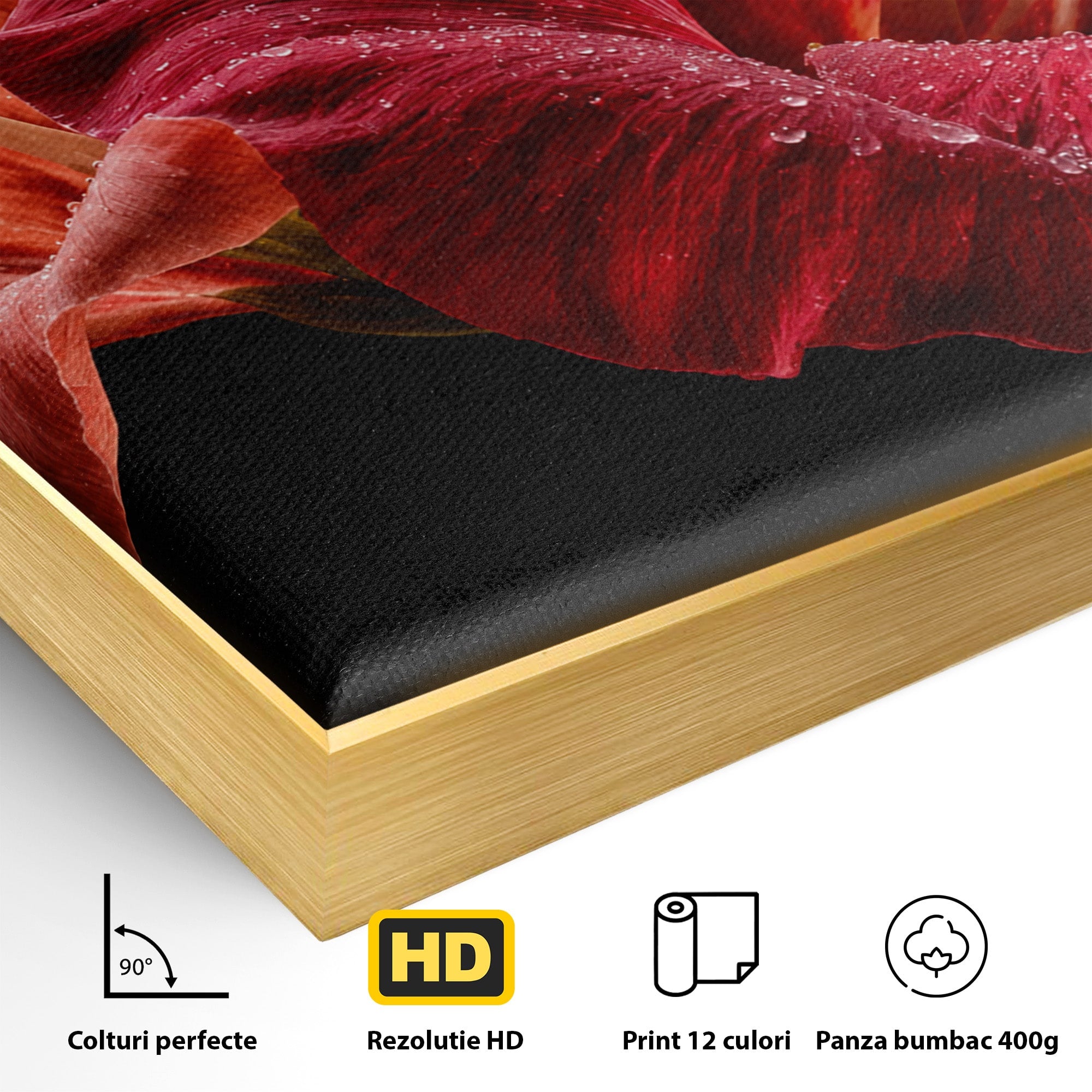 Tablou Canvas Premium LuxCanva® A1777, Floare De Hibiscus, Floare, Hibiscus, Eleganta, Dormitor, Living, Culori Vibrante