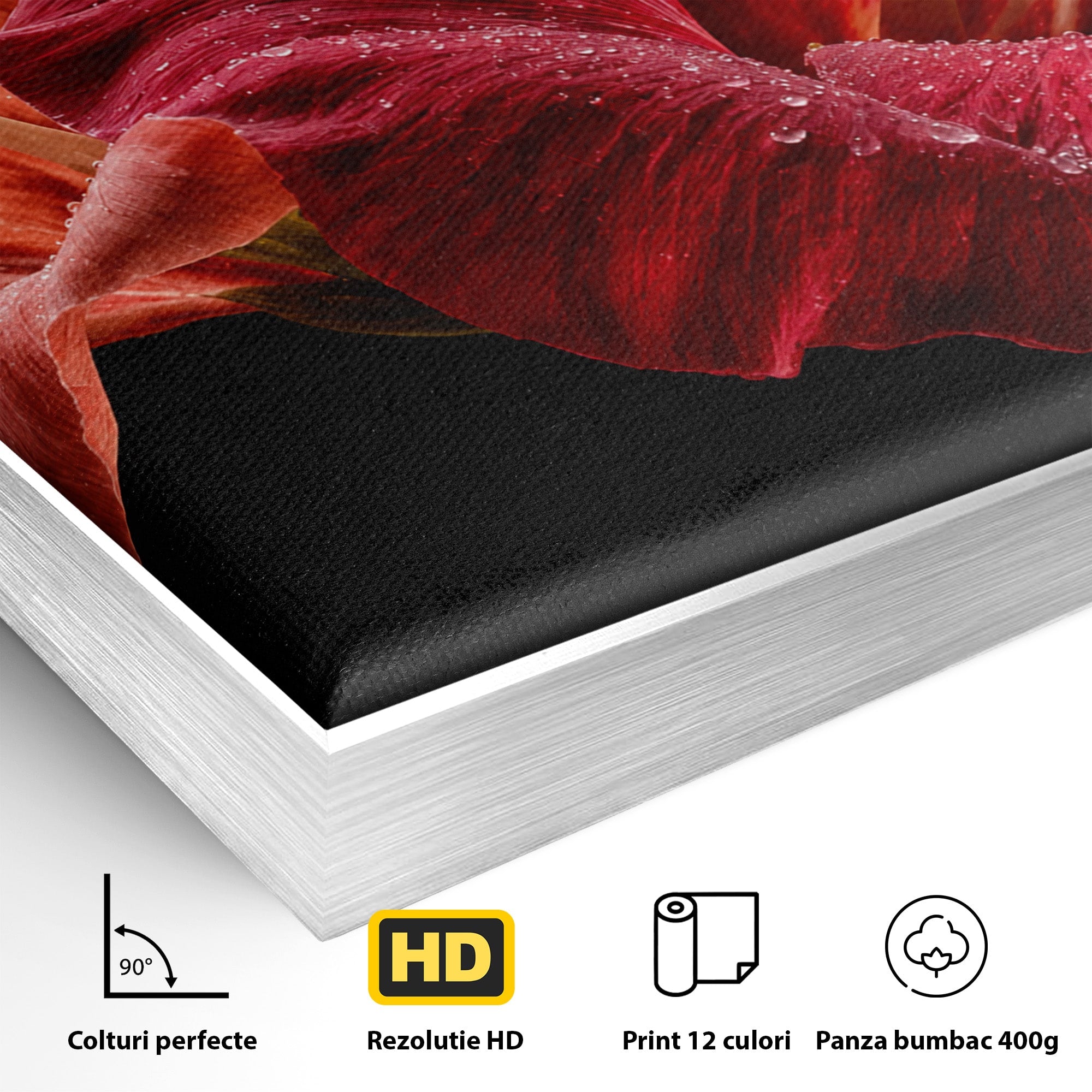 Tablou Canvas Premium LuxCanva® A1777, Floare De Hibiscus, Floare, Hibiscus, Eleganta, Dormitor, Living, Culori Vibrante