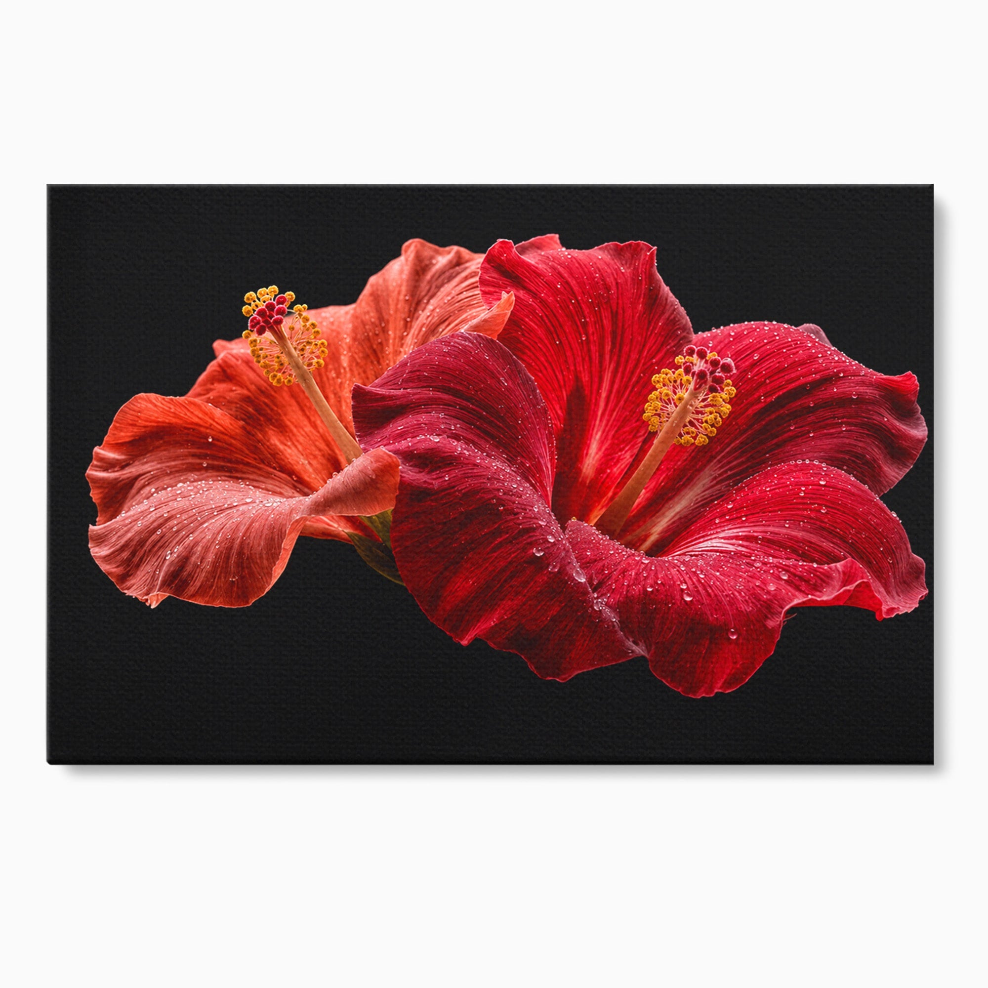 Tablou Canvas Premium LuxCanva® A1777, Floare De Hibiscus, Floare, Hibiscus, Eleganta, Dormitor, Living, Culori Vibrante