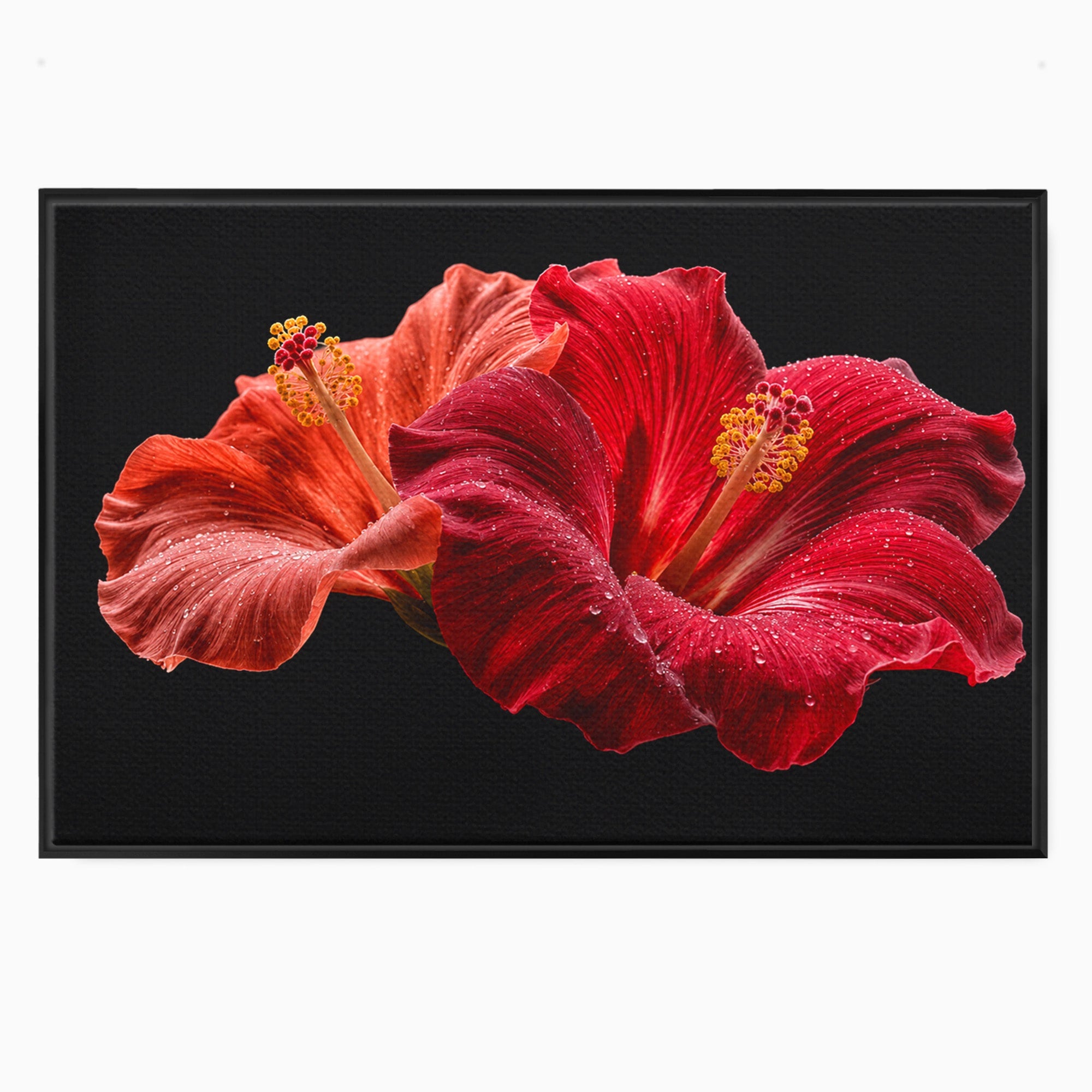 Tablou Canvas Premium LuxCanva® A1777, Floare De Hibiscus, Floare, Hibiscus, Eleganta, Dormitor, Living, Culori Vibrante