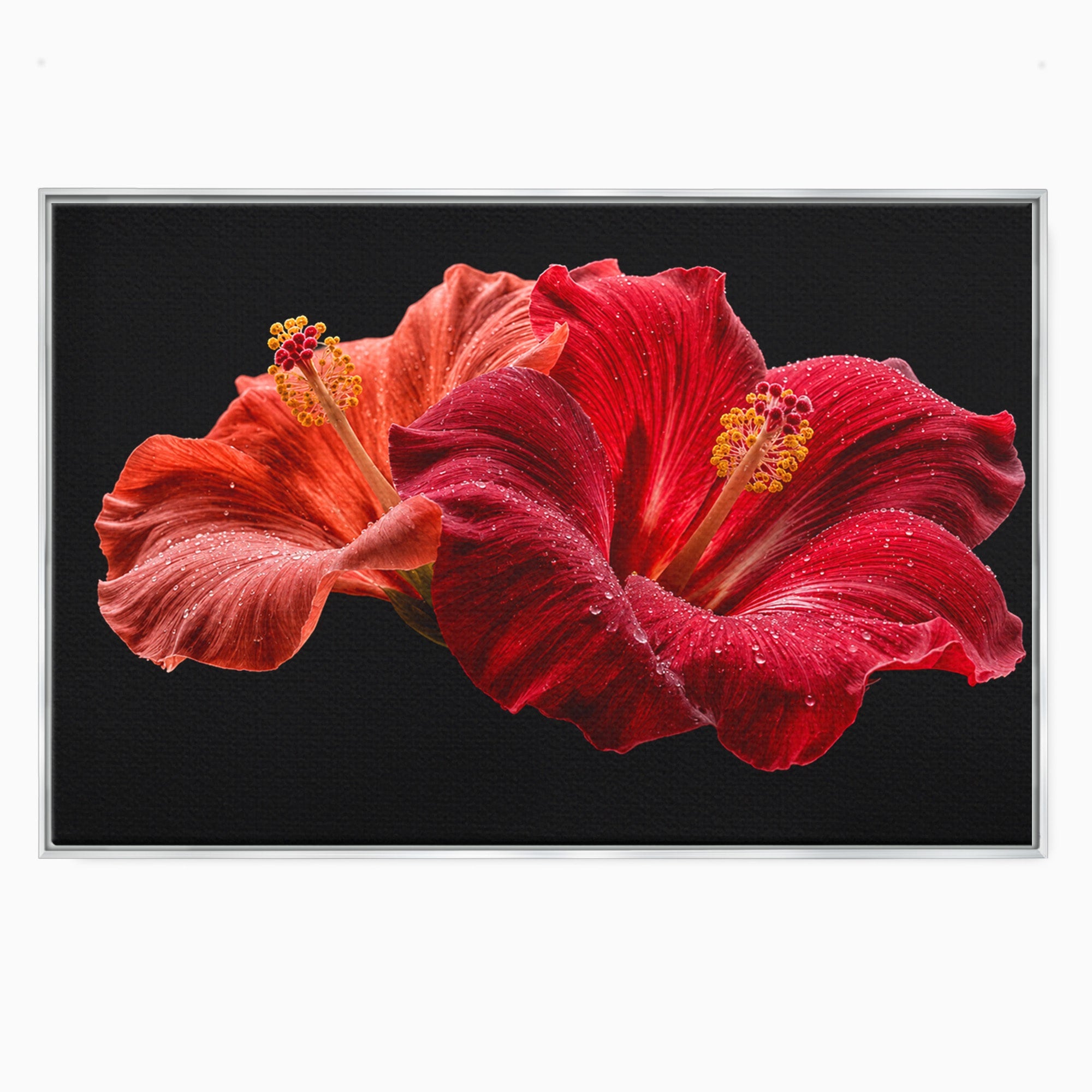 Tablou Canvas Premium LuxCanva® A1777, Floare De Hibiscus, Floare, Hibiscus, Eleganta, Dormitor, Living, Culori Vibrante