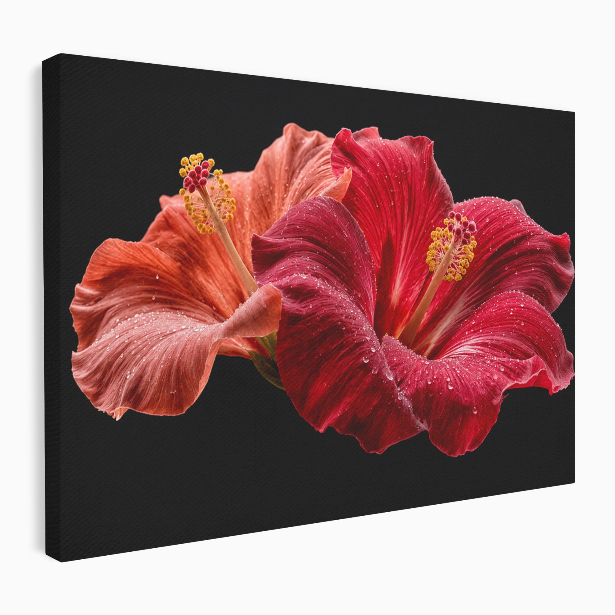 Tablou Canvas Premium LuxCanva® A1777, Floare De Hibiscus, Floare, Hibiscus, Eleganta, Dormitor, Living, Culori Vibrante