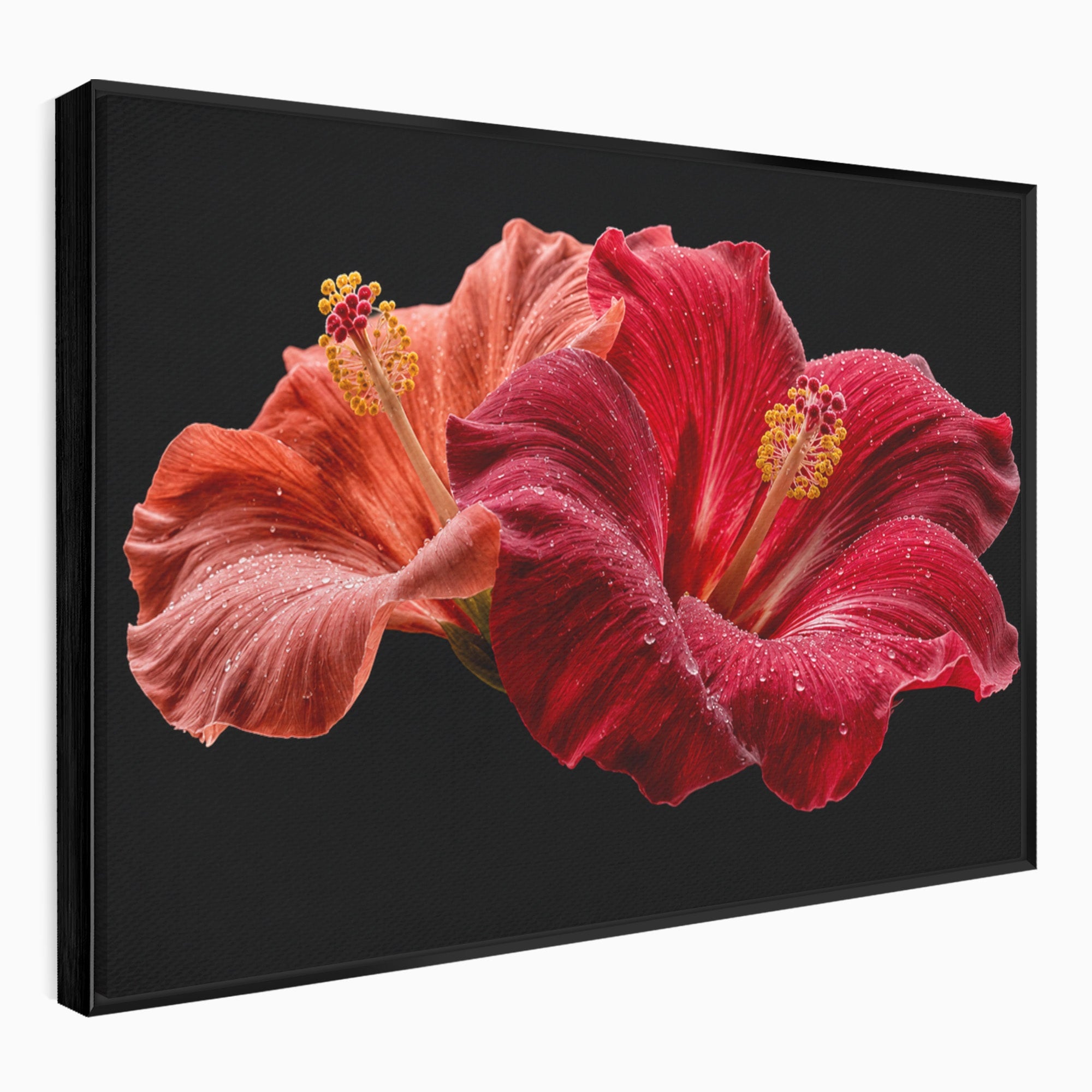 Tablou Canvas Premium LuxCanva® A1777, Floare De Hibiscus, Floare, Hibiscus, Eleganta, Dormitor, Living, Culori Vibrante