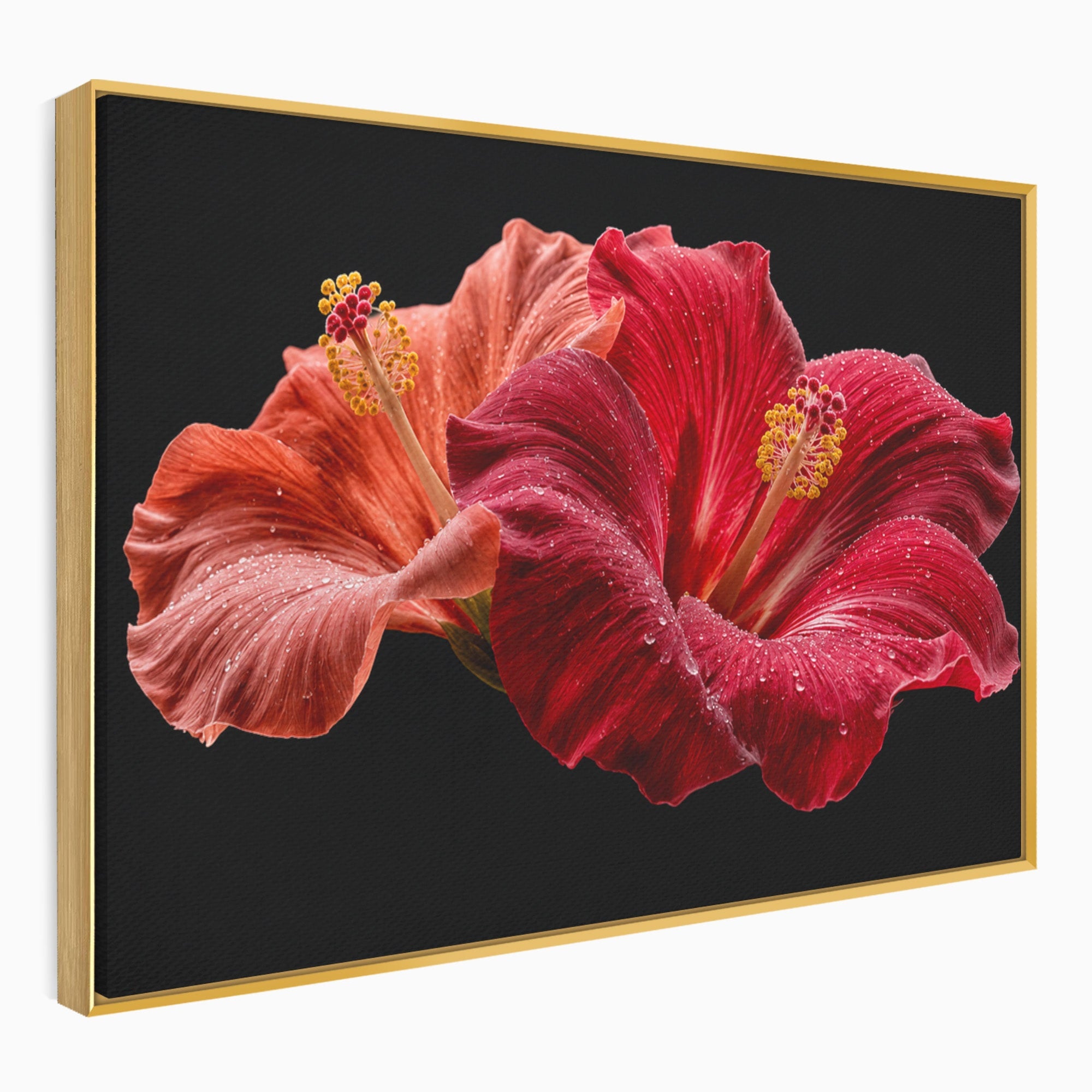 Tablou Canvas Premium LuxCanva® A1777, Floare De Hibiscus, Floare, Hibiscus, Eleganta, Dormitor, Living, Culori Vibrante