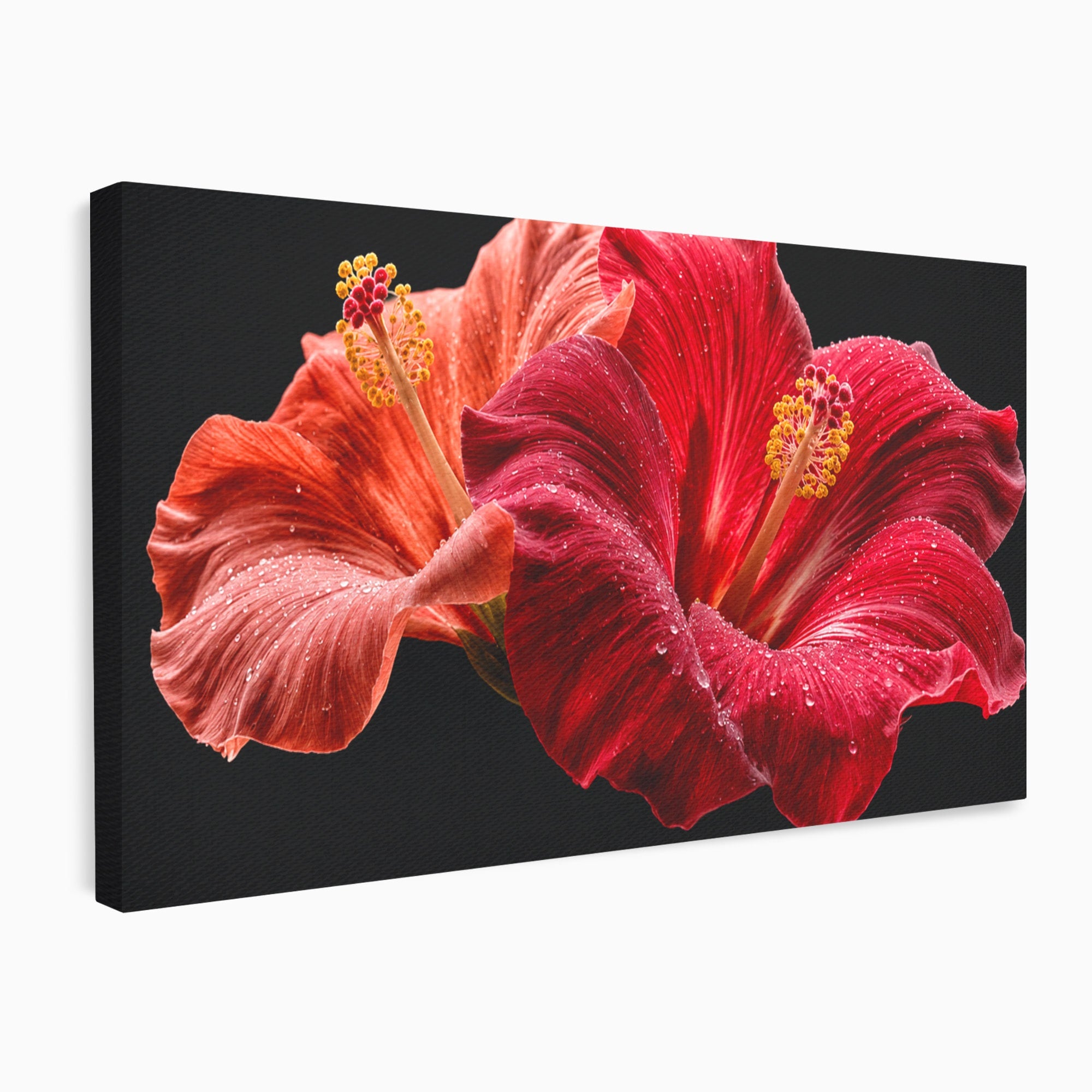 Tablou Canvas Premium LuxCanva® A1777, Floare De Hibiscus, Floare, Hibiscus, Eleganta, Dormitor, Living, Culori Vibrante