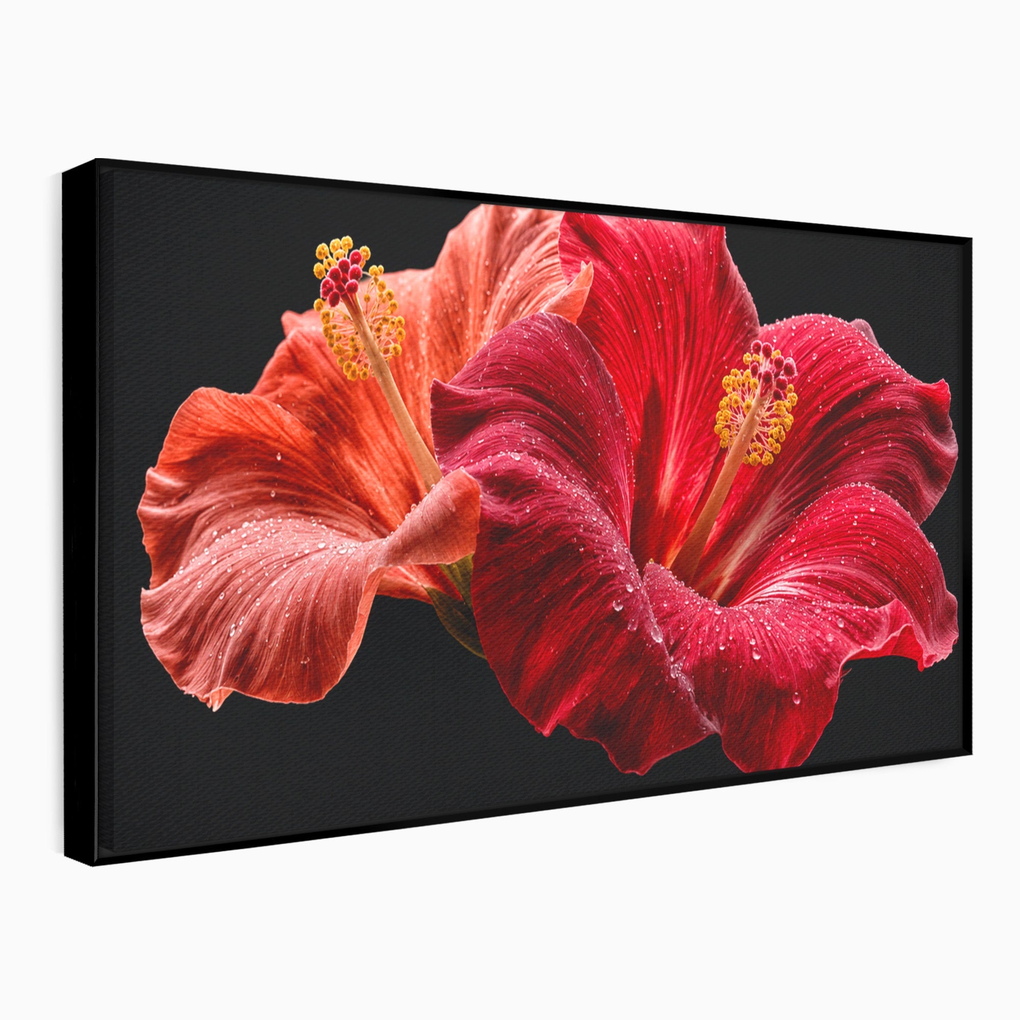 Tablou Canvas Premium LuxCanva® A1777, Floare De Hibiscus, Floare, Hibiscus, Eleganta, Dormitor, Living, Culori Vibrante