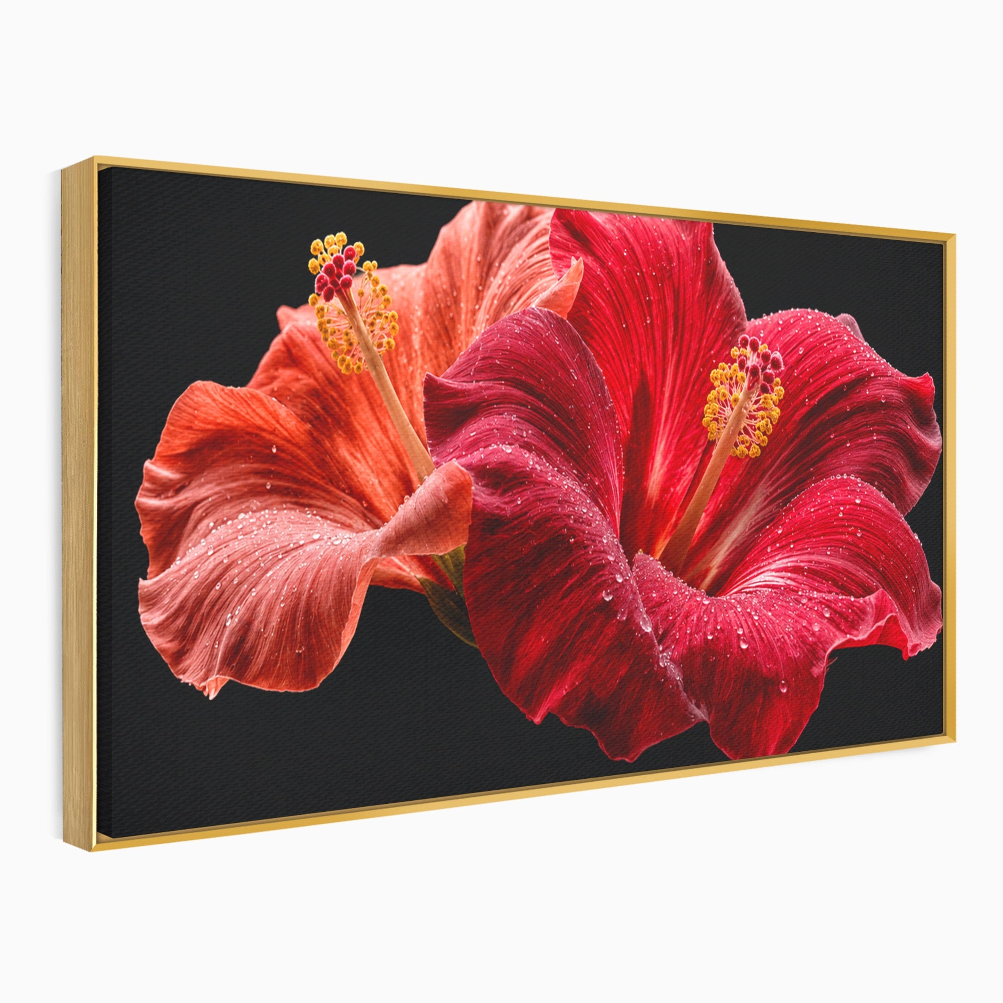 Tablou Canvas Premium LuxCanva® A1777, Floare De Hibiscus, Floare, Hibiscus, Eleganta, Dormitor, Living, Culori Vibrante
