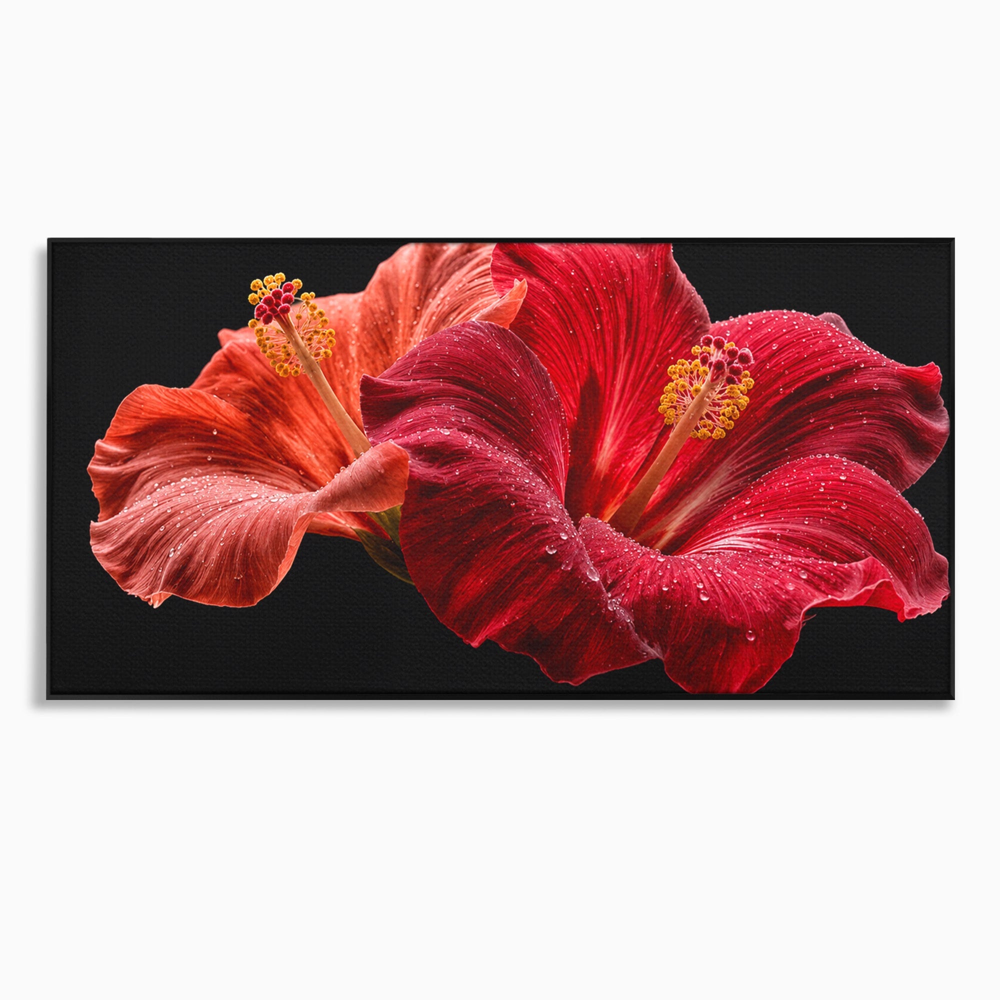 Tablou Canvas Premium LuxCanva® A1777, Floare De Hibiscus, Floare, Hibiscus, Eleganta, Dormitor, Living, Culori Vibrante
