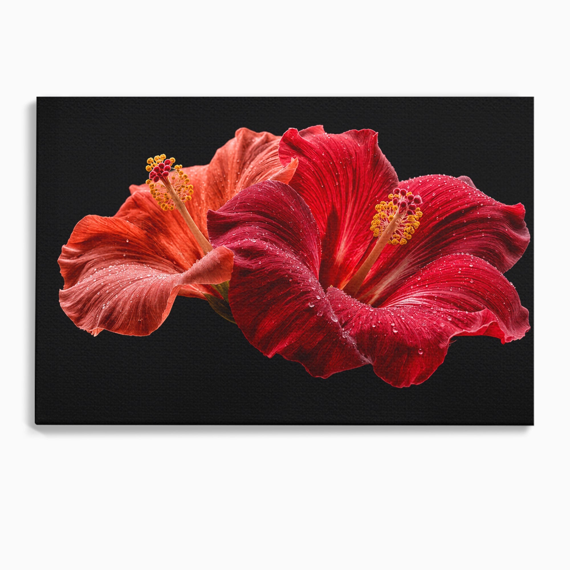 Tablou Canvas Premium LuxCanva® A1777, Floare De Hibiscus, Floare, Hibiscus, Eleganta, Dormitor, Living, Culori Vibrante