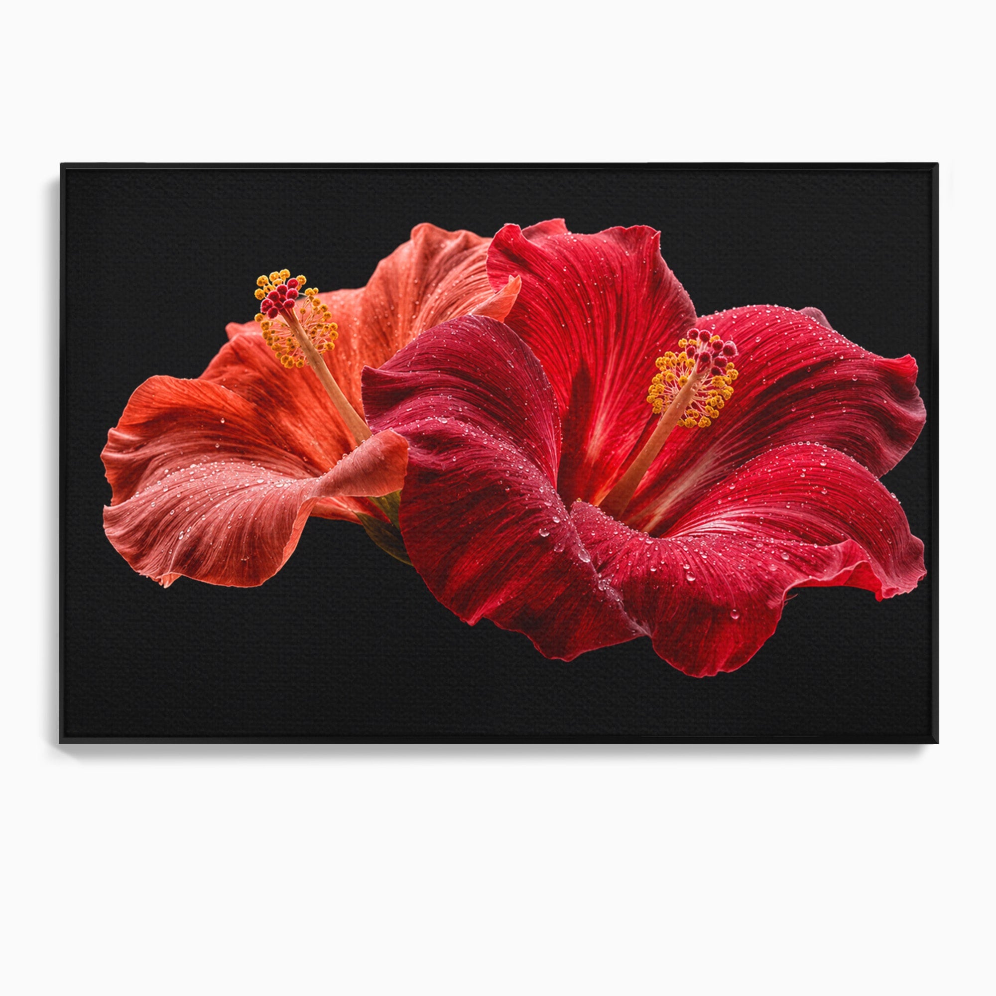Tablou Canvas Premium LuxCanva® A1777, Floare De Hibiscus, Floare, Hibiscus, Eleganta, Dormitor, Living, Culori Vibrante