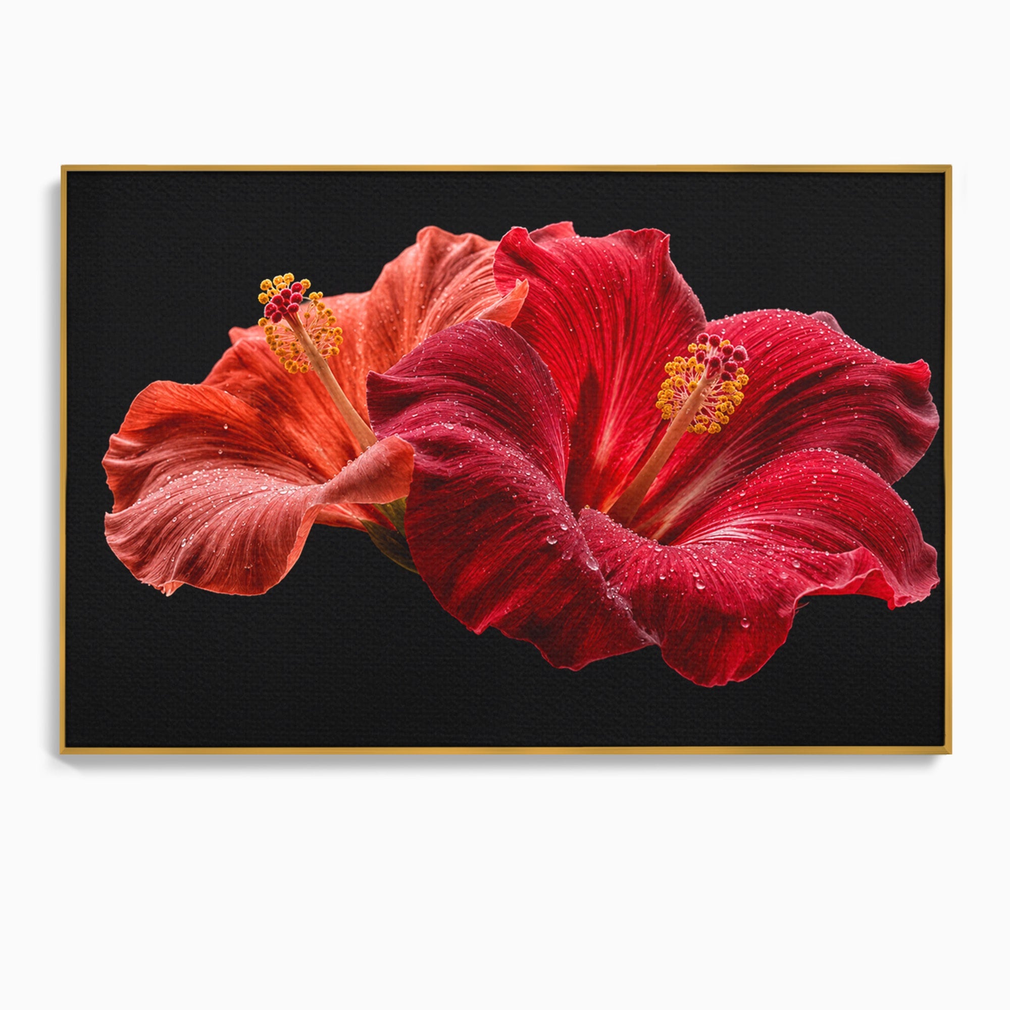 Tablou Canvas Premium LuxCanva® A1777, Floare De Hibiscus, Floare, Hibiscus, Eleganta, Dormitor, Living, Culori Vibrante