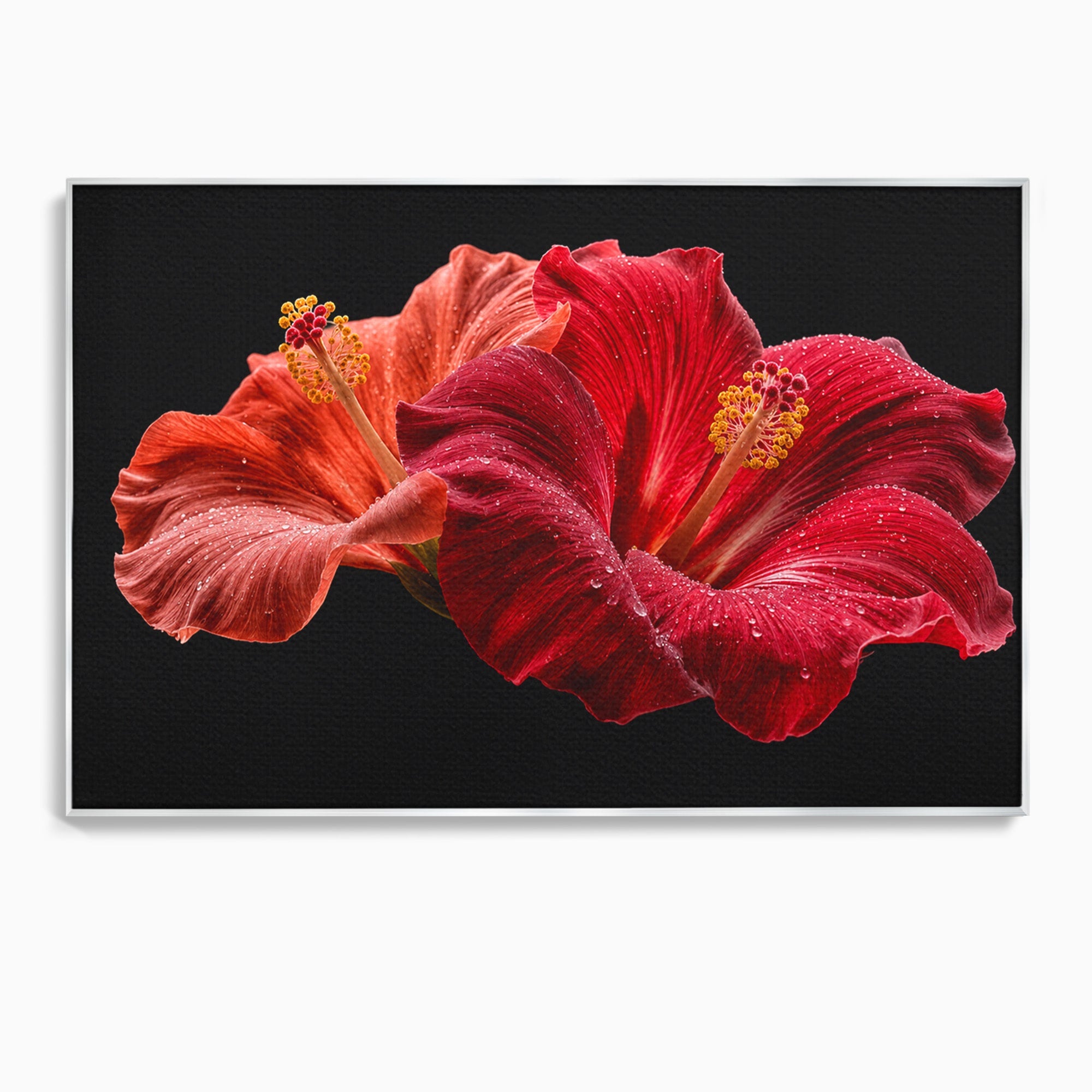 Tablou Canvas Premium LuxCanva® A1777, Floare De Hibiscus, Floare, Hibiscus, Eleganta, Dormitor, Living, Culori Vibrante